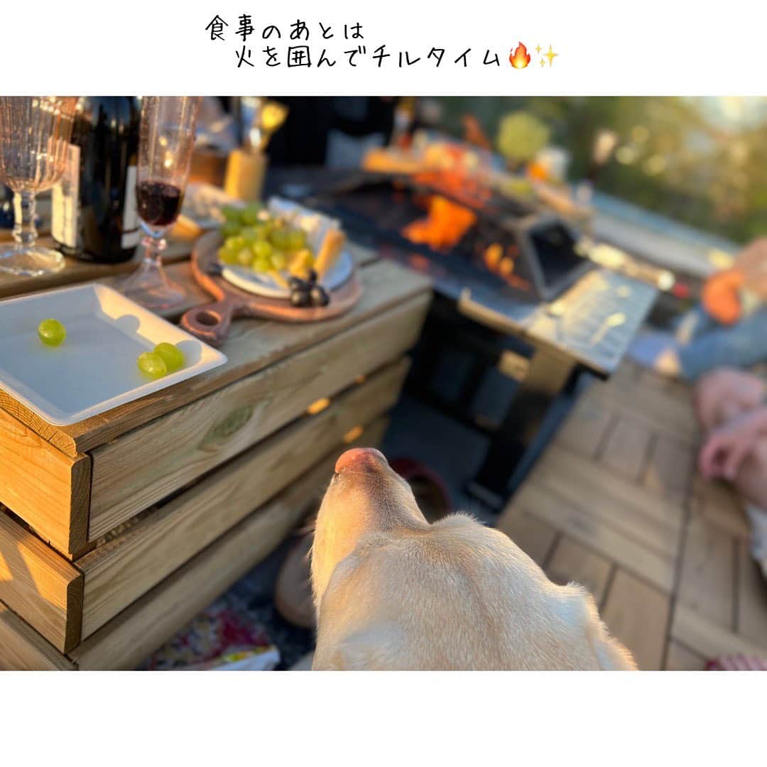 原口るりこさんのインスタグラム写真 - (原口るりこInstagram)「. . 【🐏さんのお誕生日会】 . Berlinに住んでいる 気の知れた友人たちと スーパーマン岡田っちを招いて お家でお祝い🥂✨ . . . 次の日、 柔らかい朝日が照らす 片付いたばかりのテーブルで 🐏さんが . . 『良い誕生日会だったね』と . . 静かにコーヒーを飲みながら . ただそう 言ったものだから . なんだかとても嬉しかった🥨 . 🌿✨ . . #genkiharaguchi #birthdayparty  #athome  #お誕生日会」5月12日 4時52分 - ruriko_haraguchi24