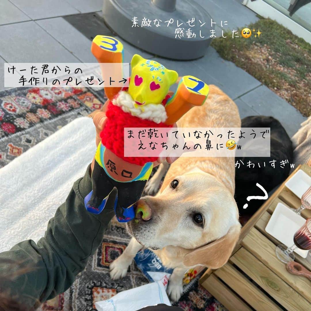 原口るりこさんのインスタグラム写真 - (原口るりこInstagram)「. . 【🐏さんのお誕生日会】 . Berlinに住んでいる 気の知れた友人たちと スーパーマン岡田っちを招いて お家でお祝い🥂✨ . . . 次の日、 柔らかい朝日が照らす 片付いたばかりのテーブルで 🐏さんが . . 『良い誕生日会だったね』と . . 静かにコーヒーを飲みながら . ただそう 言ったものだから . なんだかとても嬉しかった🥨 . 🌿✨ . . #genkiharaguchi #birthdayparty  #athome  #お誕生日会」5月12日 4時52分 - ruriko_haraguchi24