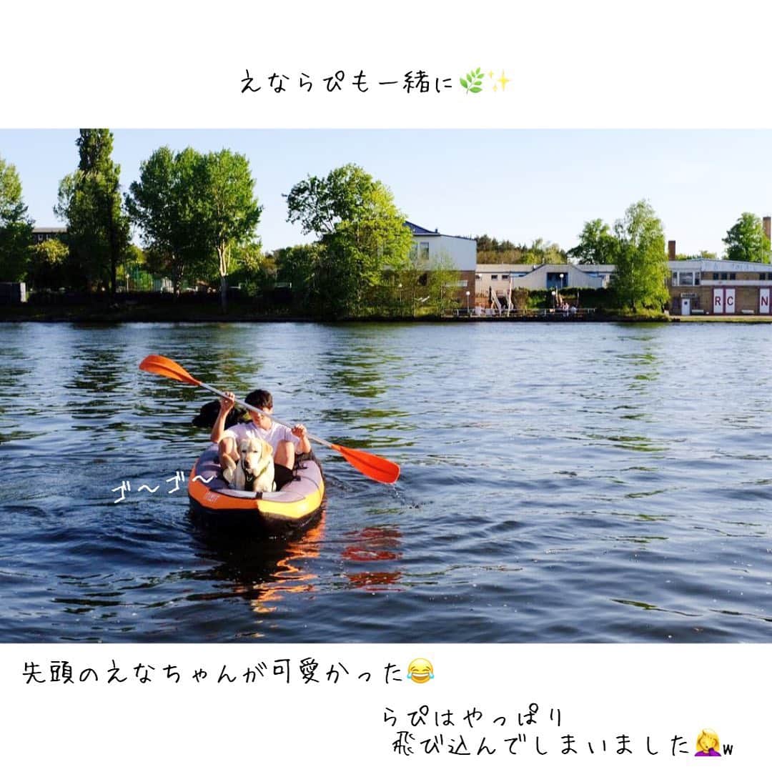 原口るりこさんのインスタグラム写真 - (原口るりこInstagram)「. . 【🐏さんのお誕生日会】 . Berlinに住んでいる 気の知れた友人たちと スーパーマン岡田っちを招いて お家でお祝い🥂✨ . . . 次の日、 柔らかい朝日が照らす 片付いたばかりのテーブルで 🐏さんが . . 『良い誕生日会だったね』と . . 静かにコーヒーを飲みながら . ただそう 言ったものだから . なんだかとても嬉しかった🥨 . 🌿✨ . . #genkiharaguchi #birthdayparty  #athome  #お誕生日会」5月12日 4時52分 - ruriko_haraguchi24