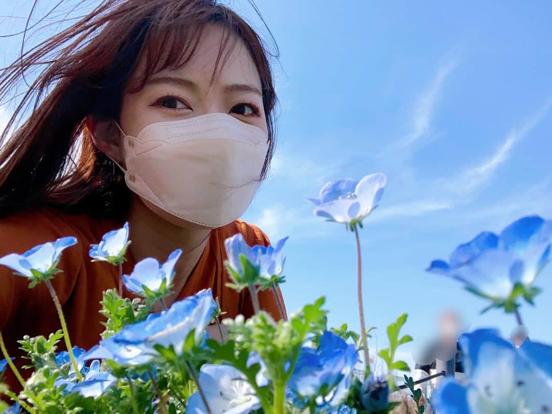 速水里彩さんのインスタグラム写真 - (速水里彩Instagram)「.  ずっと行きたかったネモフィラ🥰 一面真っ青で綺麗すぎました...✨✨  少し足を伸ばして🚗#舞洲 へ。  #ネモフィラ #お花畑」5月12日 18時30分 - hayami.risa