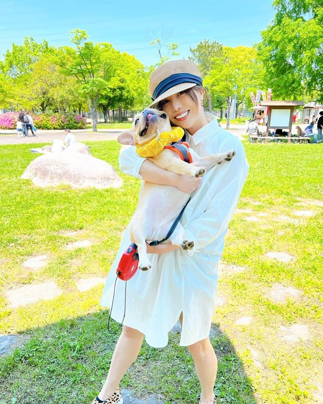 黒ユイさんのインスタグラム写真 - (黒ユイInstagram)「我が家の長女🐶💖　#マロン姉さん そろそろ昼間のお散歩が 暑くて厳しくなってきたね🥵 #ふれぶる #フレブル #ふれんちぶるどっぐ #フレンチブルドッグ #フレブル好きと繋がりたい #ふれぶるのいる暮らし」5月13日 19時36分 - yui_my_life