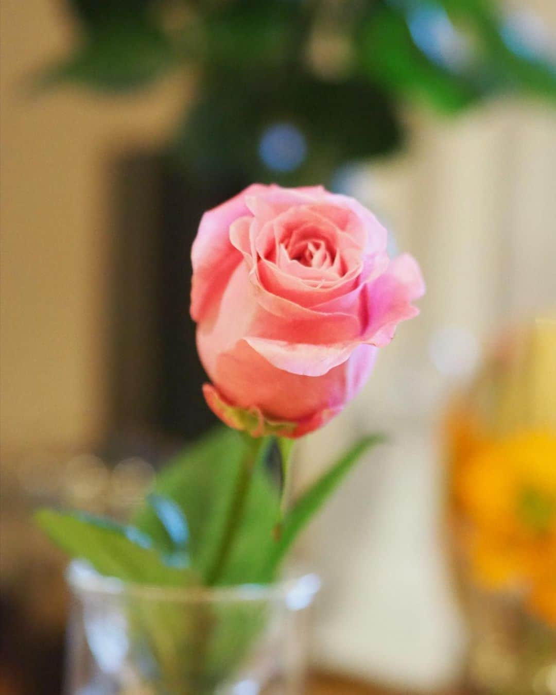 根岸由香里さんのインスタグラム写真 - (根岸由香里Instagram)「. 昨日で結婚式から5年でした。特にいつもと変わらない日でしたが帰ったら5本の薔薇が飾ってありました。笑って、食べて、寝て起きて、考えて、悩んで、あっという間に過ぎていく日々。とても有り難く幸せなことだと思う。感謝です。」5月14日 8時49分 - yukarinegishi