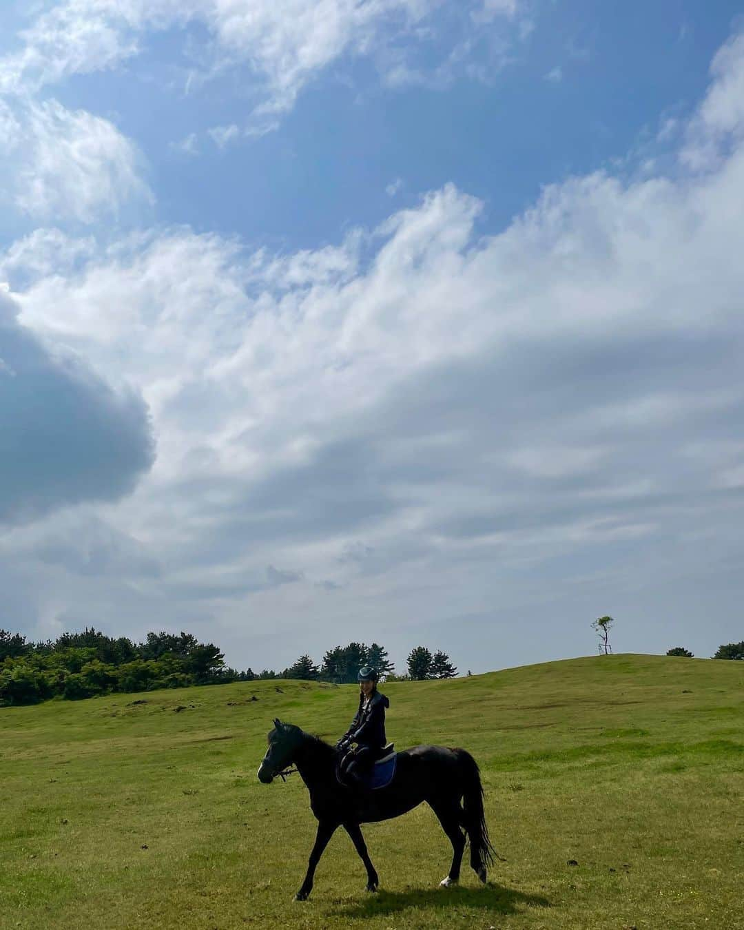 キム・ジェギョン さんのインスタグラム写真 - (キム・ジェギョン Instagram)「행복했다🐴🌿」5月14日 16時38分 - _kimjaekyung_