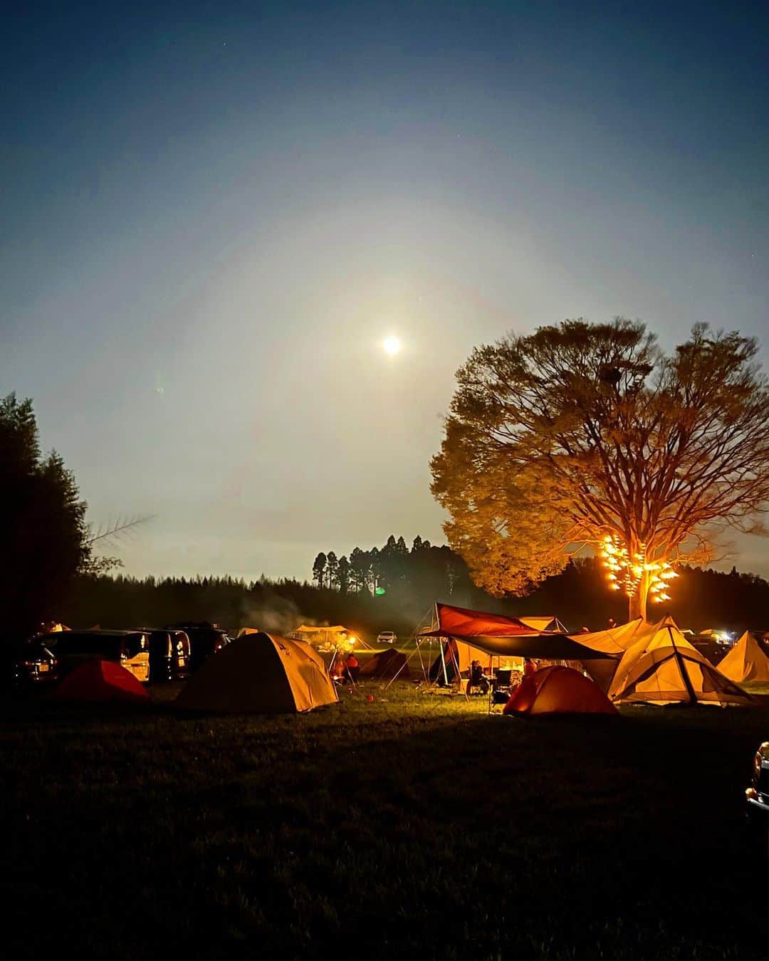 一双麻希 さんのインスタグラム写真 - (一双麻希 Instagram)「月明かりがすごく綺麗なキャンプの夜でした..🌝 連日の🏕投稿の場所は、千葉の #一番星ヴィレッジ 🌟 広々した芝生に、ど真ん中にシンボルの大きな木、 夜は大きなキャンプファイヤーが開催されるのがこのキャンプ場の良さ😌🔥 何より都内から近くて、1時間ちょっとで行けるのが👍✨ それと！お馬さんも居ます🐴♡ 行った時は生後1週間くらいのbabyちゃんがいて可愛かったなぁ😭(写真4枚目、なんとも言えない表情🥺) すぐ近くの道の駅、#草刈房の駅 で食べた落花生ソフトクリームがめちゃめちゃ美味しくて道の駅ソフトクリーム上位だった☺️😆 さすが落花生の千葉ですね🥜  #キャンプ場紹介 #おすすめキャンプ場 #千葉キャンプ #落花生ソフトクリーム   #時差投稿🙏 #キャンプ場 #キャンプ女子 #キャンプ好き #アウトドア好き #アウトドア女子 #山ガール #キャンプ飯 #キャンプ好きな人と繋がりたい #山好き #山が好き #登山女子 #登山初心者 #自然が好き #自然好き #国内旅行 #旅好き女子 #旅好き #camp #naturephotography #outdoors #japanview #moonlight」5月14日 18時54分 - isso_maki315