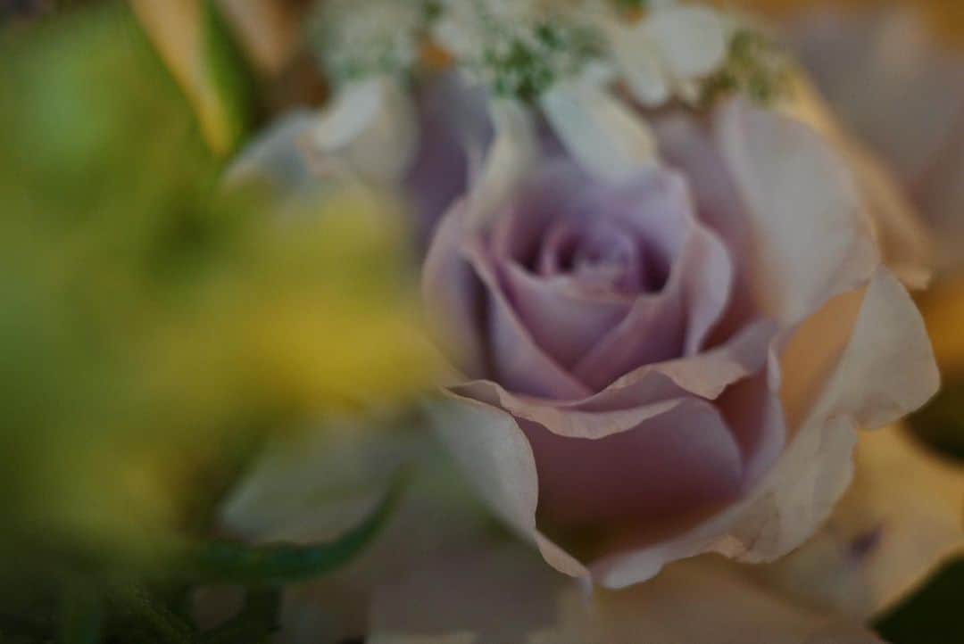 内山理名さんのインスタグラム写真 - (内山理名Instagram)「🫶🏻✨  母が庭の薔薇を摘んでブーケを作って遊びにきてくれた。この時期の楽しみ！」5月15日 12時21分 - rinauchiyama_official