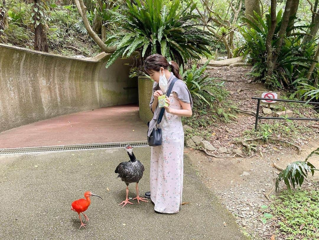 西原愛夏さんのインスタグラム写真 - (西原愛夏Instagram)「鳥圧すごい🐦  ファンクラブのブログ『沖縄旅行blog②』、 ショートムービー 更新しました🥰写真たくさん( ´-` ).｡oO  チラ見せっ  ハーフアップ°ʚ🎀ɞ°.  ✧*̣̩⋆̩ｰｰｰｰｰｰｰｰｰｰｰｰｰｰｰ最新告知ｰｰｰｰｰｰｰｰｰｰｰｰｰｰｰｰｰｰｰｰｰｰ✧*̣̩⋆̩☽  💓 週刊現代 電子写真集 ｢あ〜んして｣ 発売中！  【5月】 5 ミッドナイト競輪 20時30分〜 7 競輪特番SP 14時〜 8 ミッドナイト競輪 19 ミッドナイト競輪 21 事務所主催 BBE 撮影会 30 週刊現代 グラビア4P 掲載  【6月】 1日 ネットサイト｢現代ビジネス｣ 記事up 18日 大阪 チャンス撮影会  ✧*̣̩⋆̩☽⋆ｰｰｰｰｰｰｰｰｰｰｰｰｰｰｰｰｰｰｰｰｰｰｰｰｰｰｰｰｰｰｰｰｰｰｰｰ✧*̣̩⋆̩☽⋆゜  🥀アパレルブランド M collection R (@m.collection2020 ) ♥ オフィシャルファンクラブ 2022.04.01〜 月額750円 💕LINEスタンプ『歯科衛生士アイドル西原愛夏』発売中 📸YouTube ｢まなかちゃんねる｣ 🕊Twitterもやってます✨  ✧*̣̩⋆̩☽⋆ｰｰｰｰｰｰｰｰｰｰｰｰｰその他ｰｰｰｰｰｰｰｰｰｰｰｰｰｰｰｰｰｰｰｰｰｰｰｰ✧*̣̩⋆̩☽⋆゜  【広告】 ･エレアリーナイトブラ 公式モデル 2019~2022年 ･平塚競輪場イメージキャラクター 2021年 ･TBS BlitzIndex「Blitz×ビール」 ･TIFFANY BLUE 川村元気×ティファニー×ゼクシィショートフィルム  【TV】 🌟AbemaTV ミッドナイト競輪 出演中 🌟JNN東北スペシャル 東北全力応援！幸せここだけフード 🌟日テレ ドラマ ｢バベル九朔｣ 石原彩音役 🌟ゴッドタン｢ゲラ女王選手権｣ 🌟英語禁止ボーリング 🌟ダンスチャンネル｢ヨガから始まる美女の休日｣ 🌟宮古島0円旅！ 🌟Amazonプライム 『なぎスケ！2』42.43話 🌟お願い！ランキング 🌟有吉ジャポン 🌟中居くん決めて 🌟AbemaTV 全日本○○グラドルコンテスト 🌟劇団さまぁ〜ず etc..  【映画】 🌟劇場公開 映画｢ホムンクルス｣ 女子高生役 🌟劇場公開 映画｢グレーゾーン｣ 黒崎一葉役 🌟映画 ｢わたしの魔境｣井川咲役 🌟天使じゃないッ！1&2 中馬ミサ役 🌟劇場版 ｢ホラーちゃんねる｣小川香織役 🌟再恋 まみ役  【写真集】 🌟電子写真集 小学館 ｢月刊＋｣ 発売中 🌟週刊ポスト 電子写真集 ｢鏡の国の愛夏｣ 発売中 🌟電子写真集 sabra  ✩週刊現代 電子写真集 ｢あ〜んして｣  【グラビア】 🌟sabra net 🌟1~5th DVD 発売中  【雑誌】 FRYDAY/FLASH/ヤングジャンプ/週刊プレイボーイ/月刊カメラマン/フォトテクニックデジタル/ドカント/アサヒ芸能/ヤングキング/金のEX/EXMAX/アサ芸Secret etc...  ✧*̣̩⋆̩☽⋆ｰｰｰｰｰｰｰｰｰｰｰｰｰｰｰｰｰｰｰｰｰｰｰｰｰｰｰｰｰｰｰｰｰｰｰｰ✧*̣̩⋆̩☽⋆゜  #西原愛夏#歯科衛生士#現役歯科衛生士  #歯科衛生士タレント#歯科#白衣#タレント#グラビア#アイドル#女優#コスプレ#Cosplay#talent#Japaneseidol #japanesegirl#dentalhygienist #탤런트#아이돌 #치과위생사 #치과 #日本女星#天赋#偶像#アパレルブランド#アパレルオーナー#McollectionR#プロデュースブランド」5月15日 20時44分 - manakanishihara