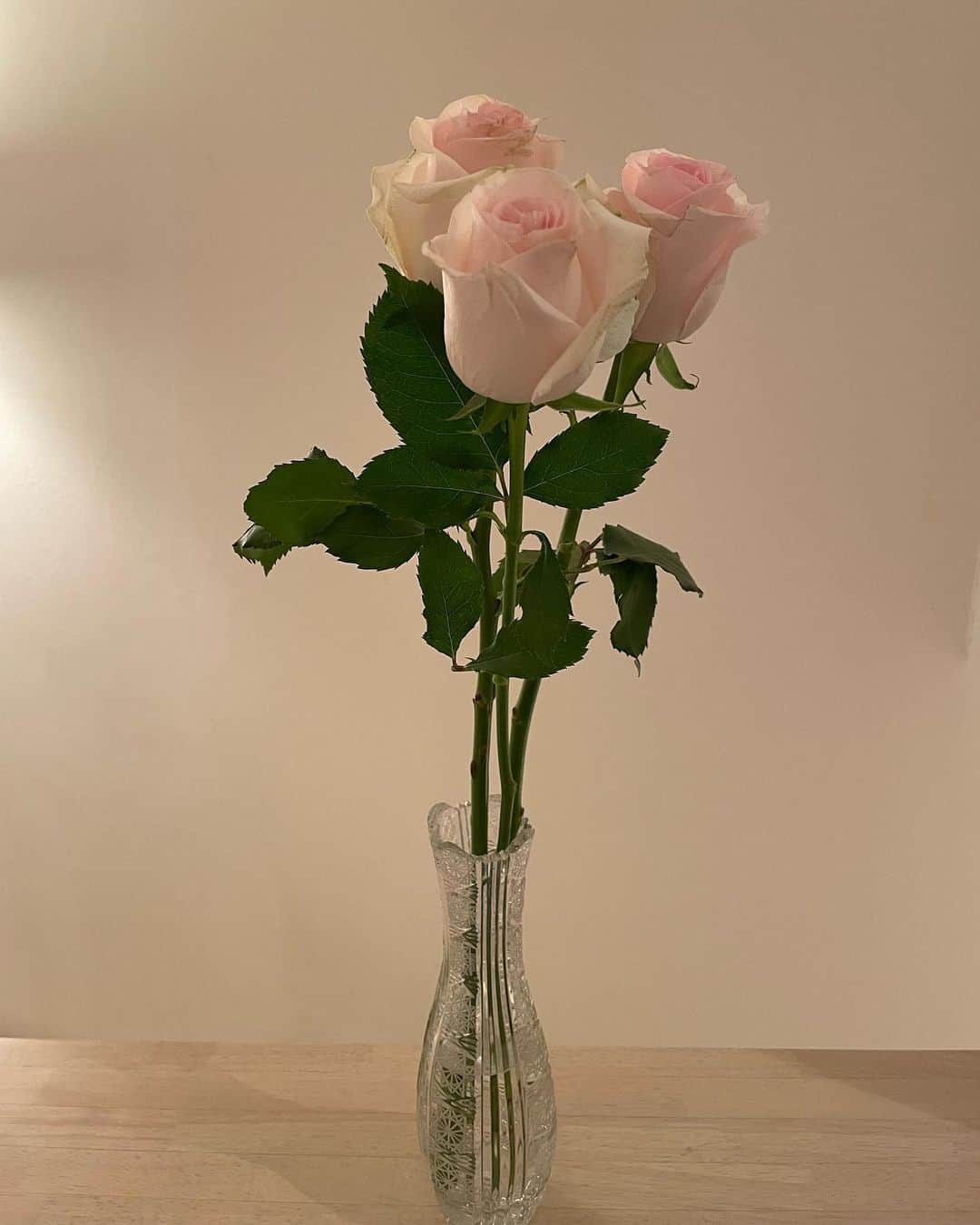 島本真衣さんのインスタグラム写真 - (島本真衣Instagram)「お花屋さんで可愛いバラを見つけ「3本ください」とお願いしてふと見上げたら バラ3本の花言葉は『仲直り』だそうです。 店員さんによると、贈り物で本数に迷う方は花言葉を参考にして買って帰るそうですよ♪  バラがキレイな季節ですね。 今日街で見かけた白いバラも大好きでした🤍  #バラ #ばら #薔薇 #いい香り #3本 #花言葉 #仲直り #ケンカはしていません #また明日から頑張りましょう #島本真衣」5月15日 20時47分 - mai_shimamoto_ex