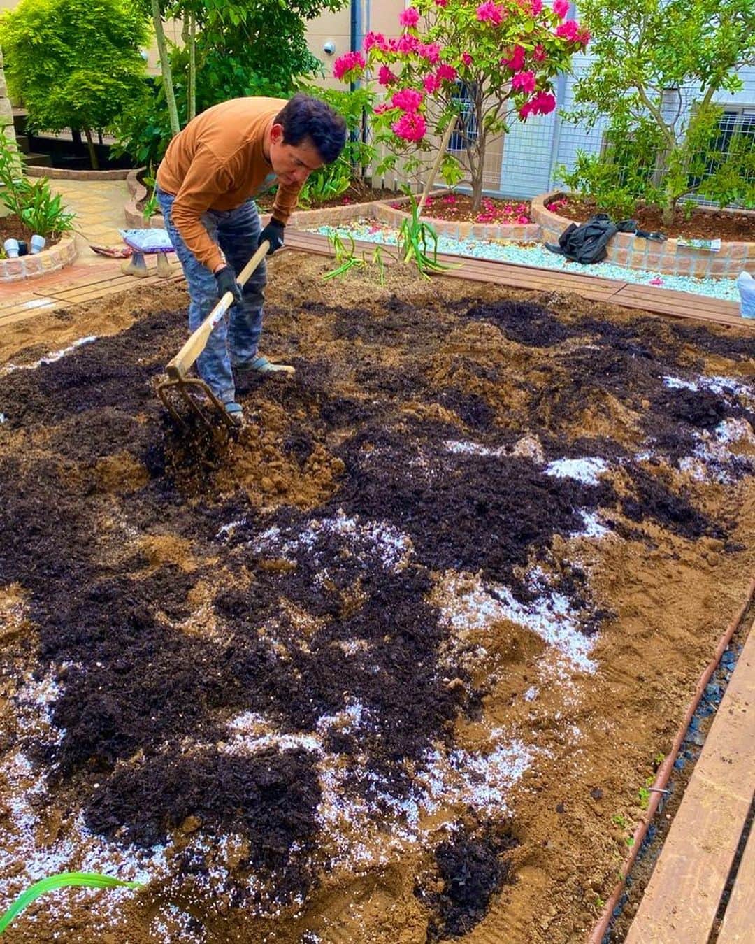 野口健さんのインスタグラム写真 - (野口健Instagram)「腐葉土をコネコネしてから早速 、畝作り！！！昨年は畝が少し小さかった。そして苗を詰め込み過ぎたみたい。という事で今年は畝を大きくして、植える苗の種類を絞りゆったりと過ごして頂こうと。  土壌改良は年がら年中、やってきたので、昨年と比べたらかなりいい状態のはず。また、夏野菜の季節が始まりました。秋冬野菜よりも成長が早く忙しくなりますが、昨年よりはより美味しい野菜作りを目指します！！！  #野口健#野口健家庭菜園#家庭菜園」5月15日 22時42分 - noguchiken8848