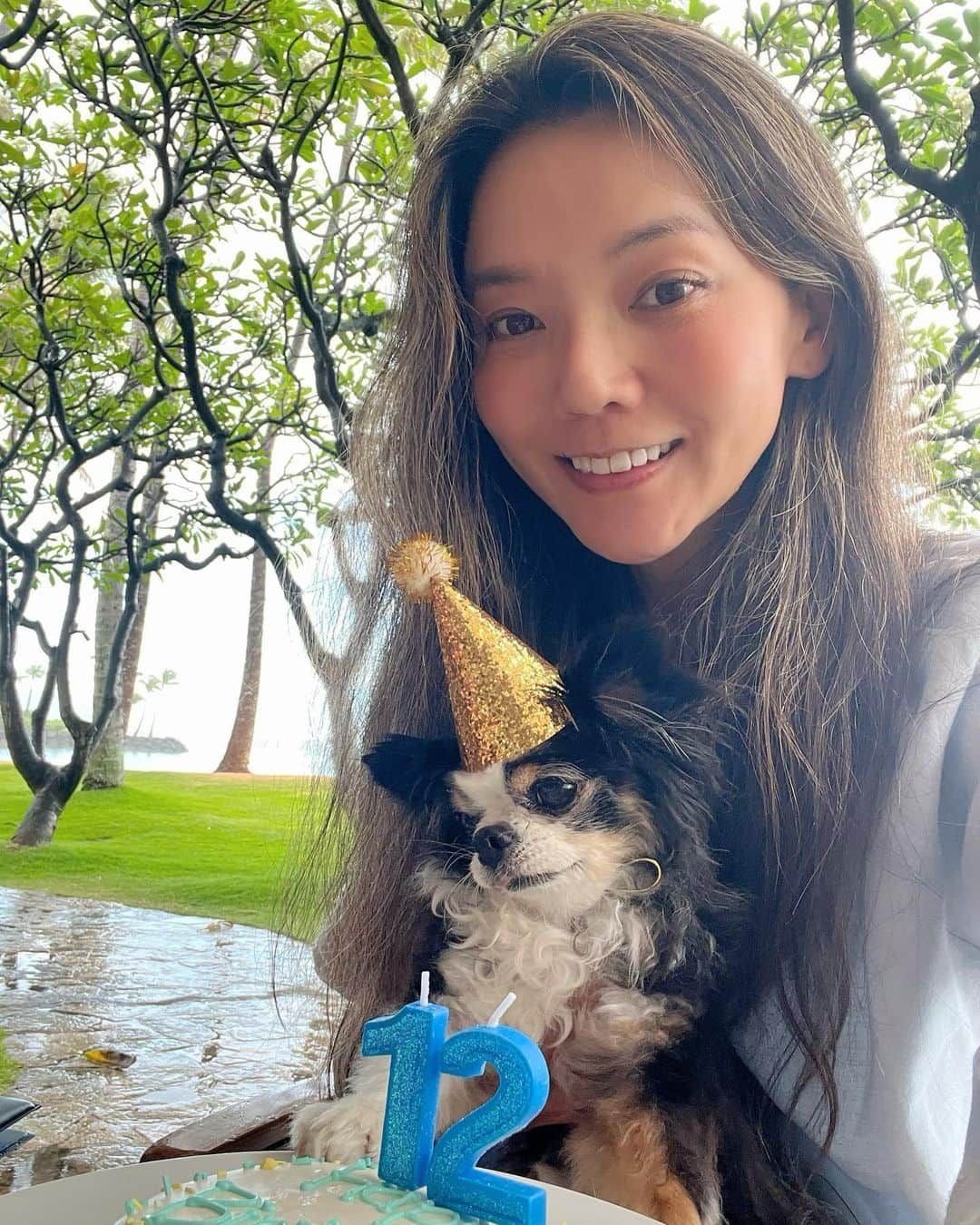 和央ようかさんのインスタグラム写真 - (和央ようかInstagram)「Happy Happy Birthday our Dondon 🐶🎂🎁❤️12 Beautiful Years🎊Many more to come 🐶  私達のベイビーどんどん、お誕生日おめでとう🎂🎊🎉🎁12歳！今日は一日どんどんの好きな事たくさんしたね🐶もっともっと楽しい事たくさんしよーね、いつもキラキラなどんどん🐶  おめでとう🎉  そして、  ありがとう😊  ##takakoworldstylin🌎 #takakohawaiistylin🏝 #dondon🐶#どんどん🐶#chihuahua #チワワ#puppylove happybirthday #ずっとげんきでいてね #yokawao#和央ようか」5月17日 15時12分 - yokawao0215