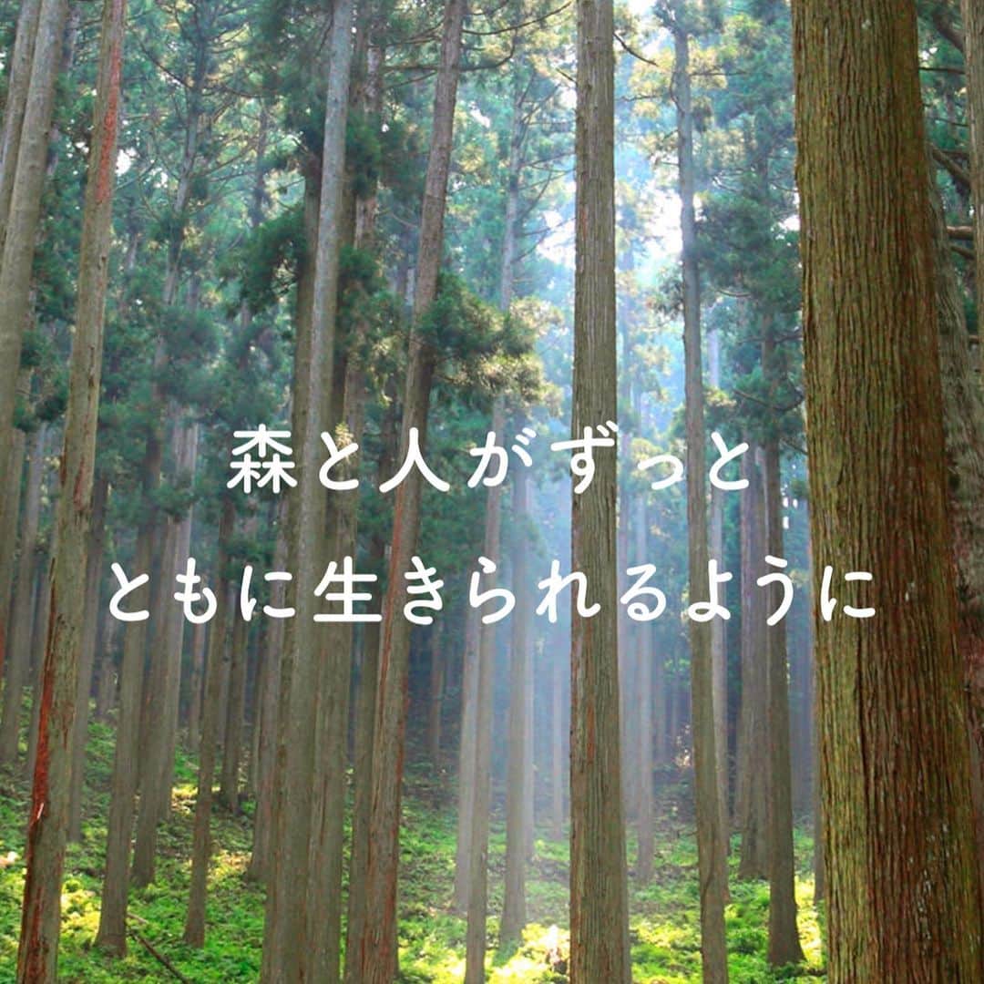 きゃっするひとみーさんのインスタグラム写真 - (きゃっするひとみーInstagram)「-----スポタカ✖️ブルックス---- 👟【はしることが地球を守る】🌲 ブルックスの世界で一番売れているシューズゴーストを履いて1マイル走るごとに1ドルが @moretrees_jp （モア・トゥリーズ）に寄付される今回のイベント🌲  @moretrees_jp は森林保全活動をしている団体で、地域との協働で森林保全を行う「more treesの森」の展開、国産材を活用した商品やサービスの企画・開発、セミナーやイベントを通じた森の情報や魅力の発信など、「都市と森をつなぐ」をキーワードに「森と人がずっとともに生きる社会」を目指したさまざまな取り組みを行っています。（音楽家・坂本龍一さんが代表を務めておられます✨）  ブルックスは、地球を守るための取り組みについてすごく積極的なメーカーで✨  Ghost14をカーボンニュートラル（温室効果ガスの排出量と吸収量を均衡させることを意味します。）にするための取組みは、二酸化炭素排出量の削減から始まりました。現在、ほとんどのアッパー素材は最低30%、インソールのトップライナーとシュータンの裏地、つま先ボックスの補強などは100%リサイクルポリエステルを使用して生産しています。  デザインや機能のほかにも、こういうところにも目を向けてランニングアイテム選んでみてもいいですね☺️🌲  今回は1人５マイルほど走りましたので、全員でおよそ10,000円ほどの寄付になりました🌲🌲  これから全国で今回のイベントを実施する予定みたいなので、皆様の街に来たらぜひ参加してください☺️  @aicocoa1027  あいこちゃん、撮影引き受けてくれてありがとう😆❤️❤️  昔からの友人と、チームのみんなと。 大好きなみんなと大阪城走れたことがなによりも嬉しかった😍❤️🌲🌲🌲  ランニングは世界救うよね❤️  #runhappy  ❤️❤️❤️❤️❤️❤️❤️」5月17日 17時47分 - takaxjumppp