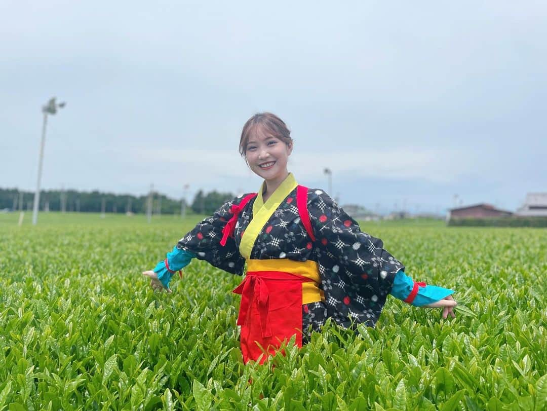 野村彩也子さんのインスタグラム写真 - (野村彩也子Instagram)「. 茶娘になりました🌿🌿🌿  爽やかな風のもとで、はじめてのお茶摘み🍵 . . . #新芽 #晴れ女 #ちゃむすめ」5月17日 21時12分 - nomurasayako