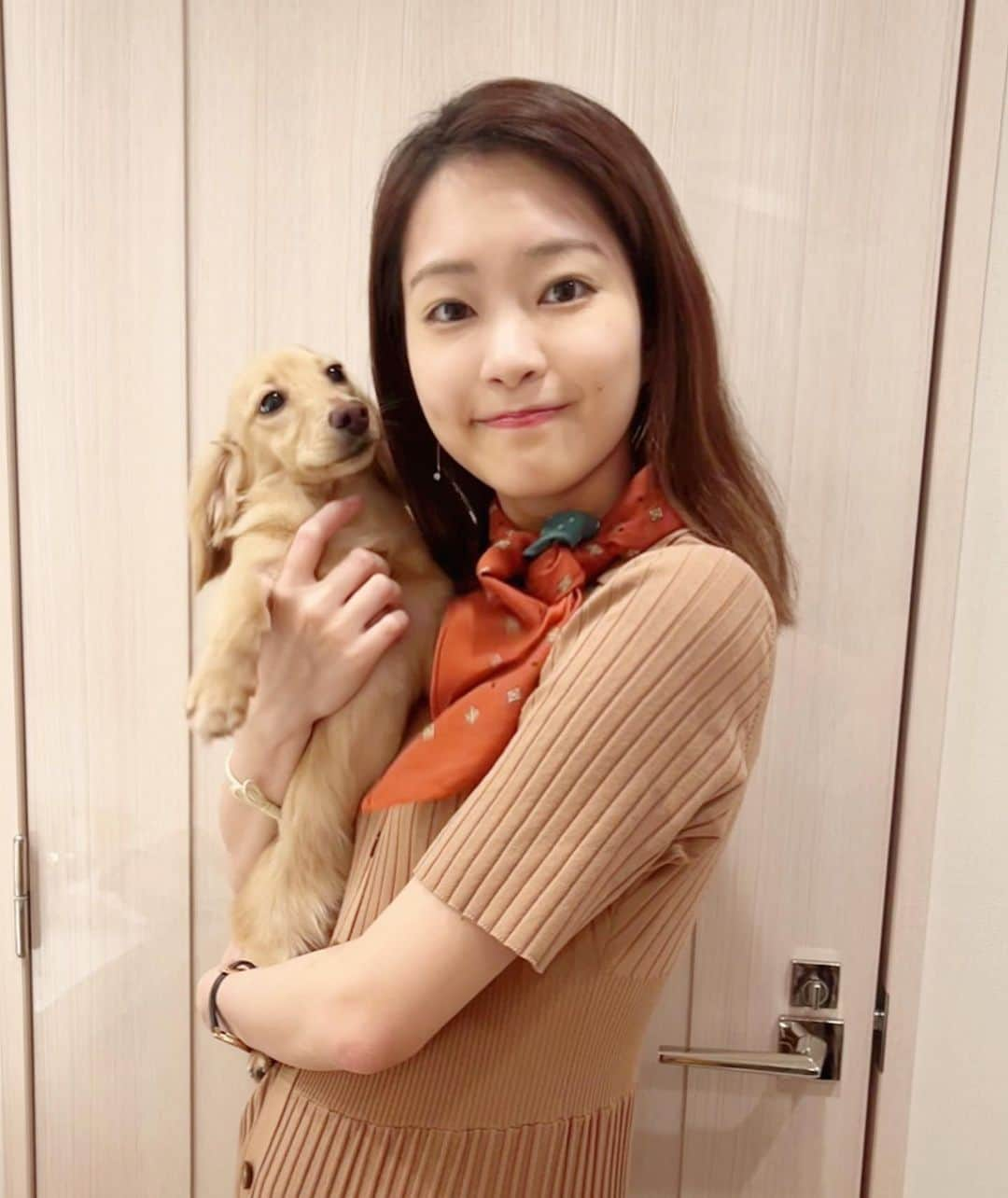 下村彩里さんのインスタグラム写真 - (下村彩里Instagram)「お揃いコーデ？  レーチェ🐶と同系色ワンピース  最近毛色が変わってきて、 お揃いになる日が増えてます。  #レーチェ #名前の由来は #スペイン語で #ミルク #最近 #ミルク色の毛並みが #ブラウン色強めに...🤣  #下村彩里 #祖母の犬#レーチェくん#まだ0歳」5月18日 2時56分 - sairi.shimomura_ex