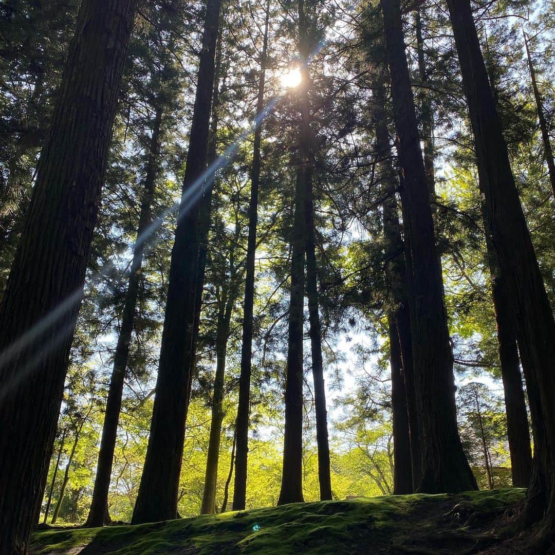 板谷由夏 さんのインスタグラム写真 - (板谷由夏 Instagram)「軽井沢への旅。 逢いたい人に会えた、手を握って ハグができた。 美味しい空気をたくさん吸って 旅友と笑って、エネルギー満タン。」5月18日 21時47分 - yukaitaya
