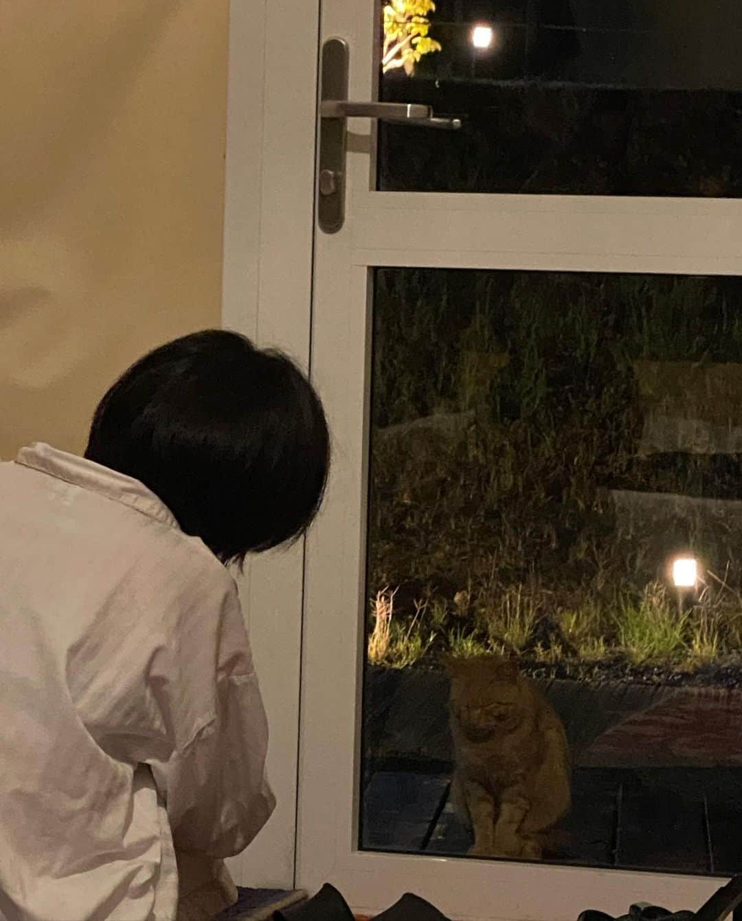 佐々木萌香さんのインスタグラム写真 - (佐々木萌香Instagram)「甘え上手な猫ちゃん🐈  飼い猫かのようにずっとついてきてくれて お別れが寂しかったな、、🪑」5月18日 23時53分 - moeka_sasaki