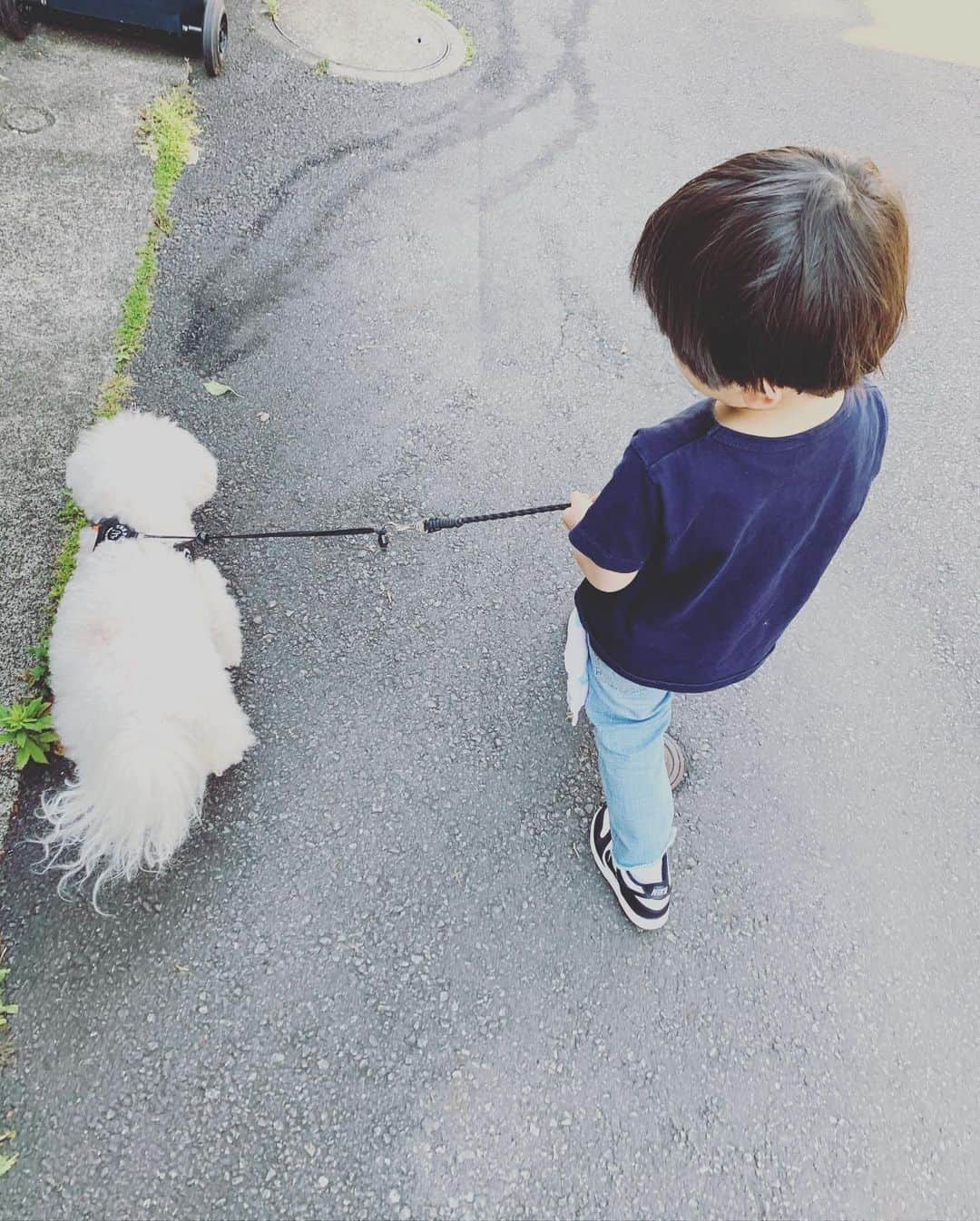 安田美沙子さんのインスタグラム写真 - (安田美沙子Instagram)「おはようございます☀  昨日の私服。 日替わりでコラボシャツを着ております。作って良かった☺️  shirts.. @reedit_official  pants.. @beautifulpeople_officialsite   いぬのきもち　20周年号に少し出させていただいています。  そして、今夜のYouTube @misako.sari.home  では念願の　@vermicular_village  に行ってきました❤️  炊飯器は愛用してるけど、それ以外にもゲット🤍 すてきな場所でした。。ぜひぜひご覧ください🤍  #ootd #みさこファッション #shirts #collaboration #reedit #ママコーデ #いぬのきもち　#YouTube」5月20日 9時46分 - yasuda_misako