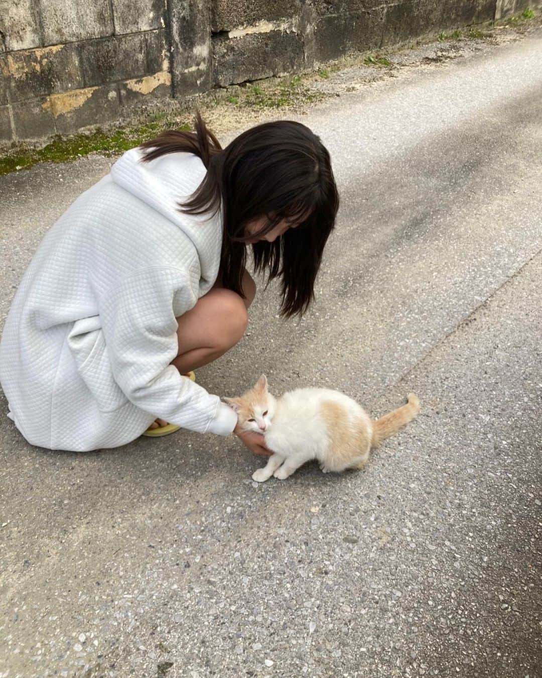 福田ルミカさんのインスタグラム写真 - (福田ルミカInstagram)「⁡ 5月23日発売のヤングマガジンにて表紙で掲載していただきました⸜❤︎⸝‍ 皆様是非お手にとってご覧ください！🐱 ・ ・ ・ ・ ・ #福田ルミカ#ヤングマガジン#表紙#sjk#高校2年生#モデル#女優#acali」5月20日 14時42分 - fukuda_rumika