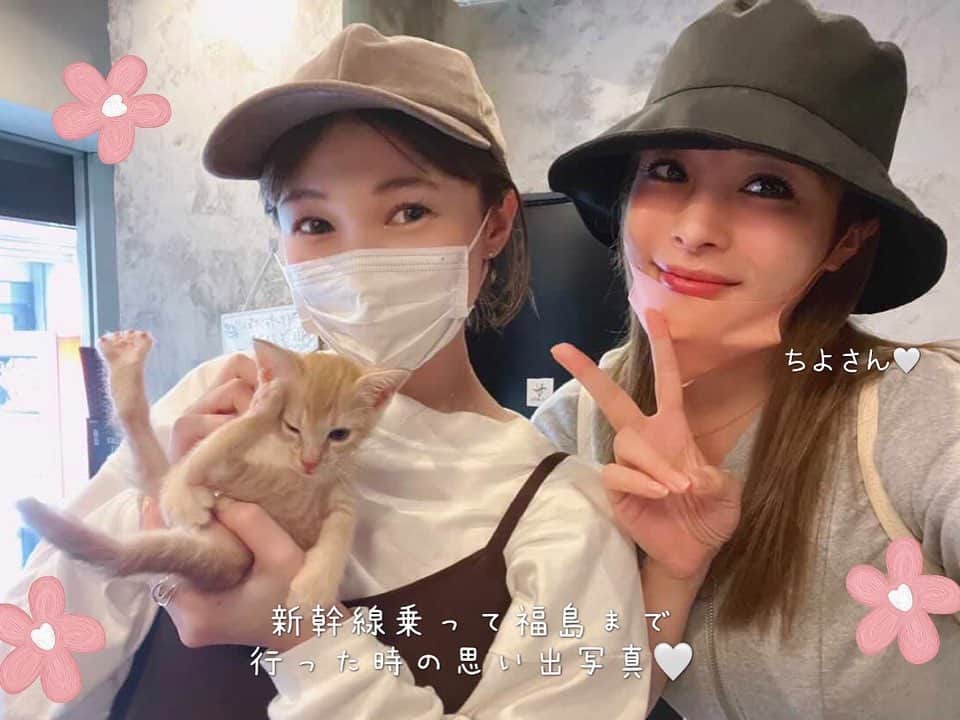 Kecoriさんのインスタグラム写真 - (KecoriInstagram)「こむぎが一歳になりました❣️🐱🎂 ってことで2人で記念写真😚笑🫧  自分で動物を飼うようになってから 命についてもめちゃくちゃ考えるようになりました。  人間も動物も同じ。大切で宝物。  去年の7月に我が家にやって来たこむぎ。 小さな命を保護して下さったちよさんに感謝いっぱい🌸 @chiyo_atakara1106  出逢わせてくれたことも✨  これからも元気いっぱい、のびのび生きてね🌷だいすき！！  #こむぎ#一歳#誕生日#519#保護猫#茶トラ#家族#親バカ#寝る時いつもいっしょ#誕生日の日の事はYouTubeに載せようと思います😚#編集頑張るぞぉ」5月20日 20時12分 - kecori.23