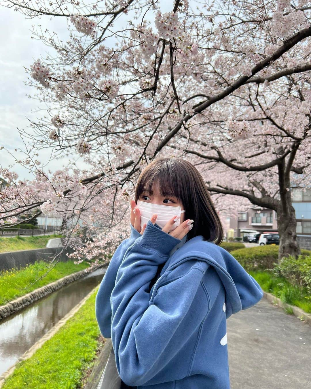 金子みゆさんのインスタグラム写真 - (金子みゆInstagram)「🌸」5月22日 9時18分 - kaneko_miyu0813