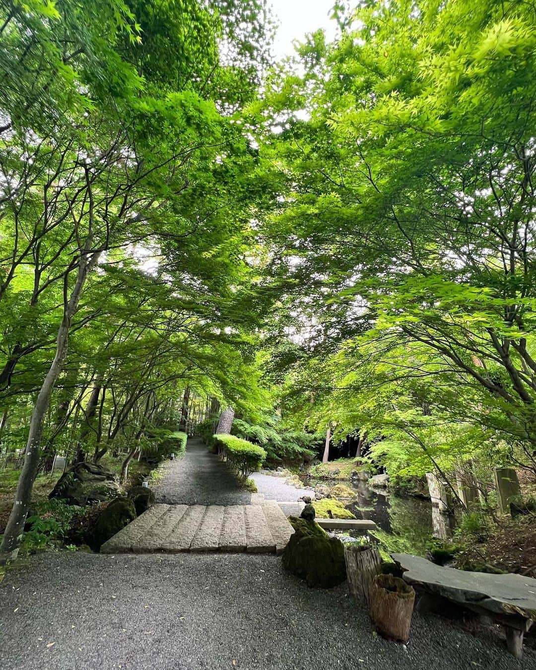 セキユウティンさんのインスタグラム写真 - (セキユウティンInstagram)「美术馆里的甜品也像艺术品一样～  大とろ牛乳：牛奶、胶原蛋白、⛰️红薯、☁️冰糖､✨金箔。  #美術館」5月22日 18時27分 - shi_yuting35