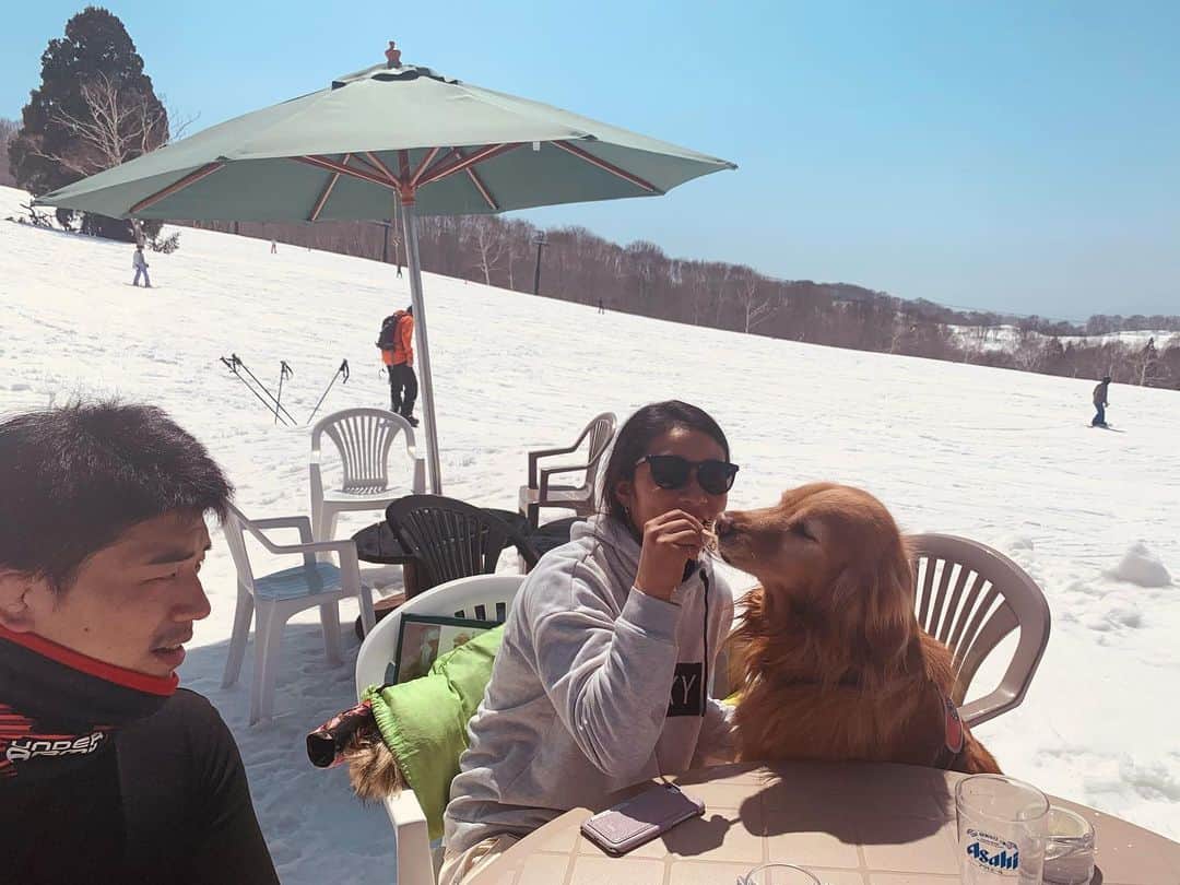 大村 奈央さんのインスタグラム写真 - (大村 奈央Instagram)「4月の雪🎿❄️🐶 今年はたくさん堪能できた！」5月23日 21時51分 - naoomura