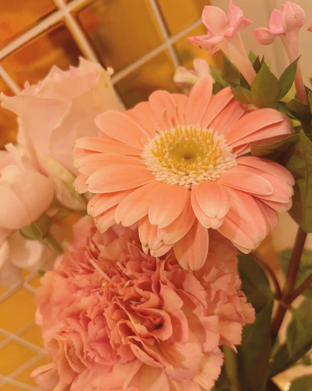 安めぐみさんのインスタグラム写真 - (安めぐみInstagram)「今日は収録で大阪へっ。 楽しかったです✨  2枚目は最近の玄関のお花🌷  #収録 #お花 #玄関のお花シリーズ  #今日もお疲れ様でした☺️」5月23日 21時54分 - yasu_megumi_official
