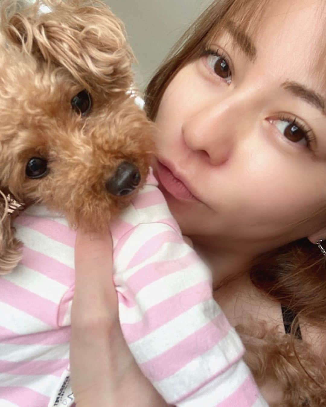 香里奈さんのインスタグラム写真 - (香里奈Instagram)「Happy Birthday  to my forever baby xxx🐩💜💜💜  #香里奈 #karina #れもん #lemon #bdgirl  #happybirthday  #🎂  #toypoodle  #🐩 #justturned7 #7yearsold #lovefamily #20150523 #20220523」5月23日 22時57分 - karina_official_221