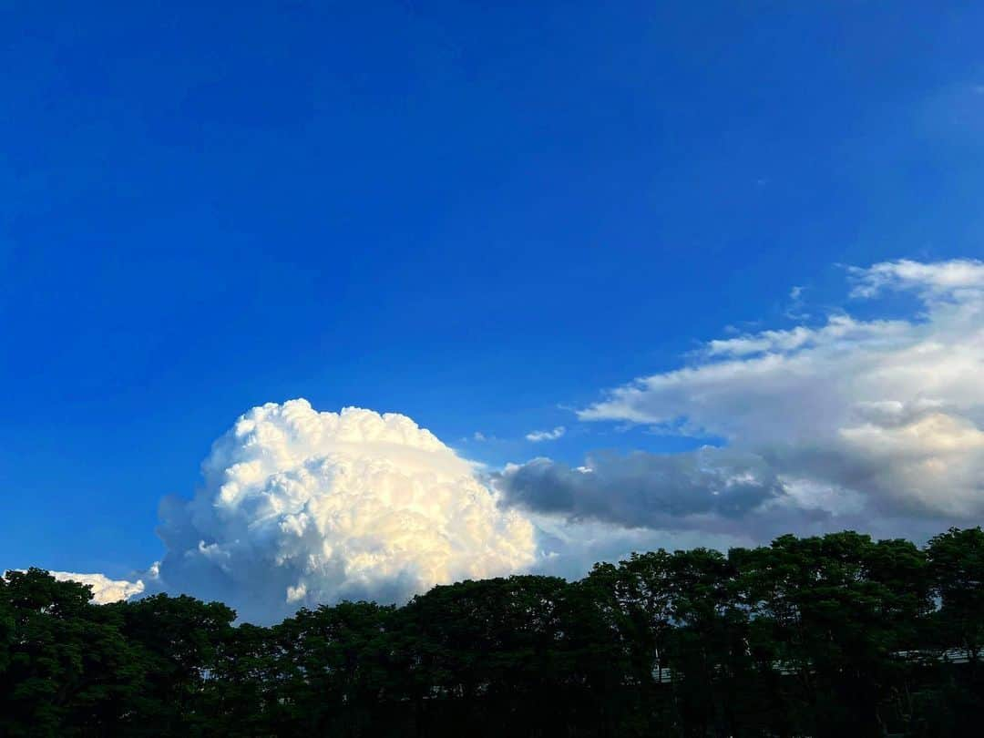 松下洸平さんのインスタグラム写真 - (松下洸平Instagram)「夏、来ちゃった？  このデッカ雲は間違いなく夏に見るやつ。🐋  水分補給しっかりして、乗り切りましょう！！」5月24日 11時46分 - kouheimatsushita_official