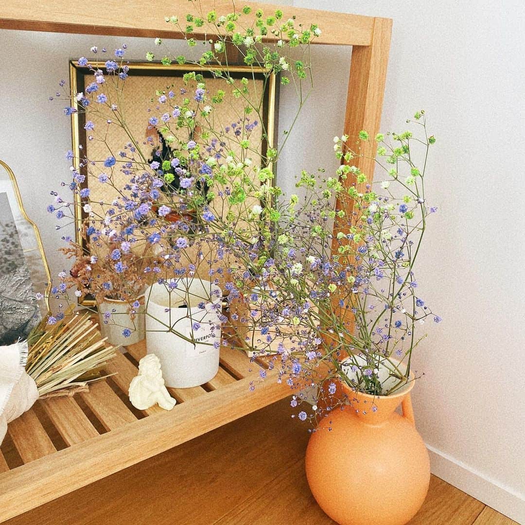 真奈さんのインスタグラム写真 - (真奈Instagram)「今週はお花が多いです🏠💐」5月24日 15時22分 - manatmnt0116