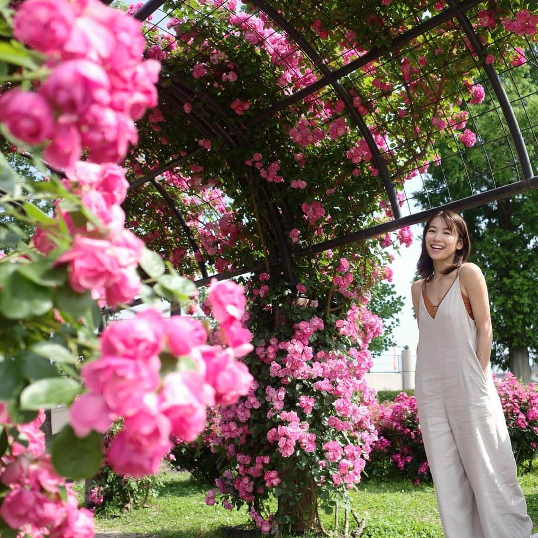 内山理名さんのインスタグラム写真 - (内山理名Instagram)「rose garden..🪸🫧  アーチが可愛い。薔薇の香りに包まれて、るんるんしてしまう。  薔薇の種類によって紅茶のような香りや、レモンのような香りも。  麻のサロペットは昨年の @norc.jp  インナーは　@emmi.jp  メイクしていないリラックスした日🫥」5月24日 17時54分 - rinauchiyama_official