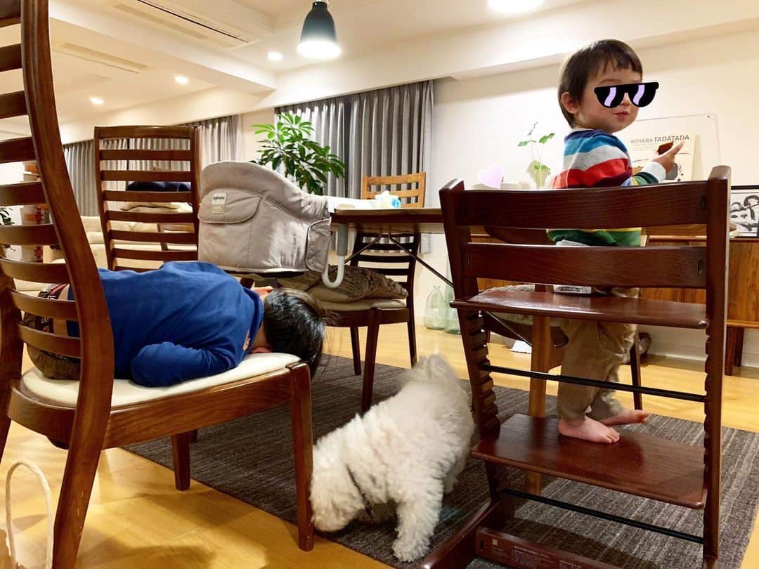 安田美沙子さんのインスタグラム写真 - (安田美沙子Instagram)「つかれて椅子で寝てしまったにいにい。  にいにいの椅子に座って 得意げな弟。笑  弟のおやつを狙うはんな。  みんなそれぞれ。笑  #おやすみ　#深夜の更新 #にいにい背中がおじさん」5月25日 3時29分 - yasuda_misako