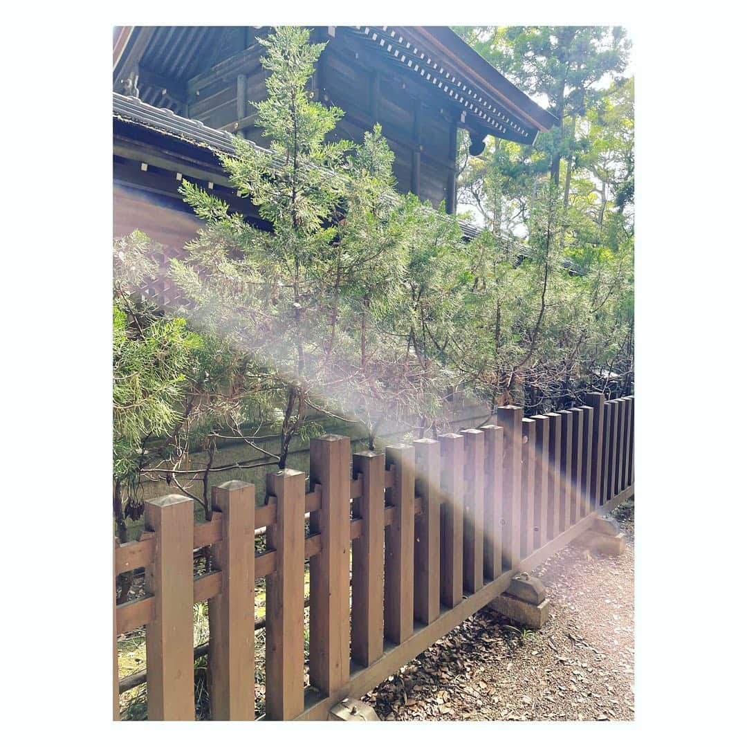 望月理恵さんのインスタグラム写真 - (望月理恵Instagram)「日本最古の神社、 伊弉諾神宮へ行ってきました。  伊弉諾尊（いざなぎのみこと）と 伊弉冉尊（いざなみのみこと）が ご祭神として祀られています。  『日本書紀』・『古事記』には、 国産み・神産みを終えた伊弉諾尊が、 最初に生んだ淡路島多賀で 鎮まったとされています。  １枚目の写真は 本殿の裏の写真です。 神様は後ろにいるから 声掛けにいかないとと 友人に言われ、裏にまわり 参拝してきました。  神社によっては裏に 神様を呼ぶ扉があったり、 お賽銭箱があるところも あるそうです。 神様に声を掛けるって、、、 なんだか 神様をより意識した参拝でした。  関東で始めた神社詣り、 今回は京都もいくつか行ったので また載せますね。  #伊弉諾神宮 #淡路島 #天照大御神 の お父さんとお母さん #日本最古の神社 #相変わらず御朱印集めはしてないんです 始めるとしたらここだったかも😂！」5月25日 13時24分 - mochiee28