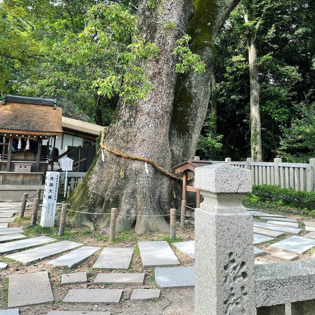 望月理恵さんのインスタグラム写真 - (望月理恵Instagram)「日本最古の神社、 伊弉諾神宮へ行ってきました。  伊弉諾尊（いざなぎのみこと）と 伊弉冉尊（いざなみのみこと）が ご祭神として祀られています。  『日本書紀』・『古事記』には、 国産み・神産みを終えた伊弉諾尊が、 最初に生んだ淡路島多賀で 鎮まったとされています。  １枚目の写真は 本殿の裏の写真です。 神様は後ろにいるから 声掛けにいかないとと 友人に言われ、裏にまわり 参拝してきました。  神社によっては裏に 神様を呼ぶ扉があったり、 お賽銭箱があるところも あるそうです。 神様に声を掛けるって、、、 なんだか 神様をより意識した参拝でした。  関東で始めた神社詣り、 今回は京都もいくつか行ったので また載せますね。  #伊弉諾神宮 #淡路島 #天照大御神 の お父さんとお母さん #日本最古の神社 #相変わらず御朱印集めはしてないんです 始めるとしたらここだったかも😂！」5月25日 13時24分 - mochiee28