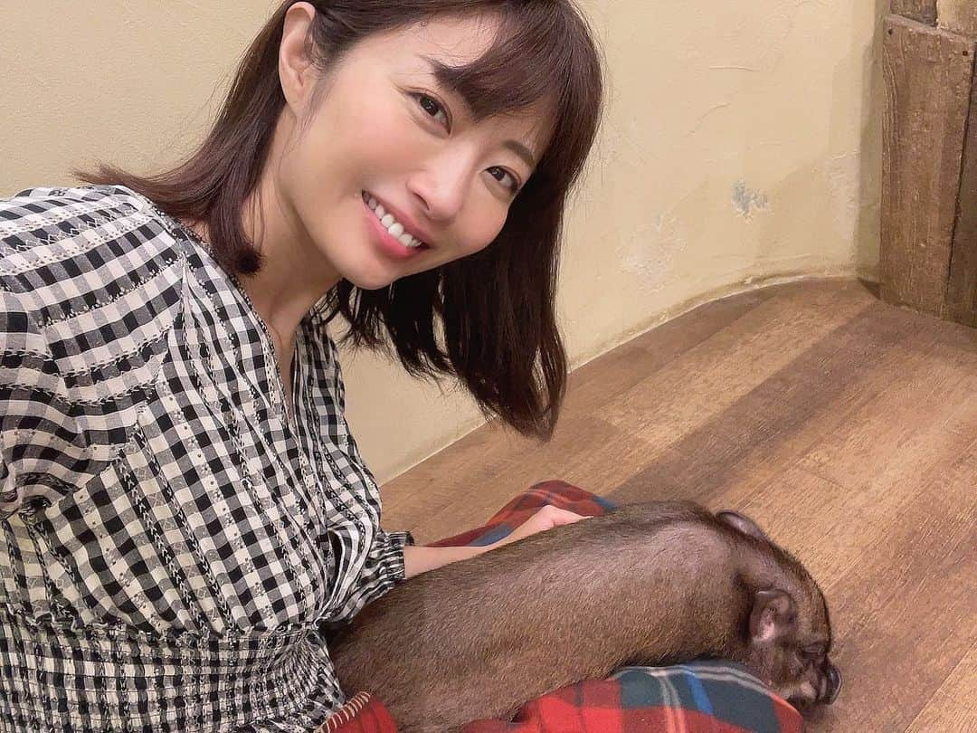 古川真奈美さんのインスタグラム写真 - (古川真奈美Instagram)「. . ドラマ「悪女（わる）〜働くのがカッコ悪いなんて誰が言った？〜」に影響されてmipig cafeに行ってきた🐖💕 ⁡ 癒された…☺️✨ 豚さんってこんなに人懐っこいんだね… 寂しがりやで人間にべったりなんだって🥺  ⁡ 豚さん癒しをありがとう❤︎ ⁡ ⁡ #mipigcafe #マイクロブタ #instalike #instamood  #ootd #东京 #扎心了 #ow #맞팔 #instapic  #팔로우미 #instaphoto #instagravure #girl #follow #followme #グラビア #japanesegirl #selfies #gravure  ⁡」5月25日 19時17分 - mana_0619