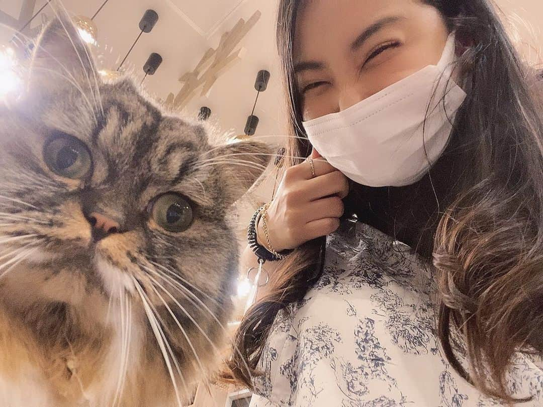 トロたんさんのインスタグラム写真 - (トロたんInstagram)「ฅ•ω•ฅ動物カフェ初体験！！猫カフェ モカラウンジ 渋谷公園通り店お邪魔しました🐱 初めての猫カフェ！！！ 動物飼育経験ZEROのトロたんどうなるか！？！！って 思いましたが 猫ちゃんたちが大人しくて もちろん人馴れしてて いい子たちばかりで 安心して楽しめました！ ご飯タイムは午前中10時半と夜は19時半から！ 圧巻のご飯タイムは必見です∩(^ΦωΦ^)∩ ドリンクバーも漫画も充実で普通のカフェとかと同じように利用もできます☺️ 猫ちゃんたちに癒されに またいきたいです！  PR @catcafemocha #猫カフェmocha #東京猫カフェ #渋谷猫カフェ #渋谷カフェ #癒しスポット #ねこカフェ #猫がいっぱい #渋谷公園通り」5月26日 1時25分 - torotan_tan