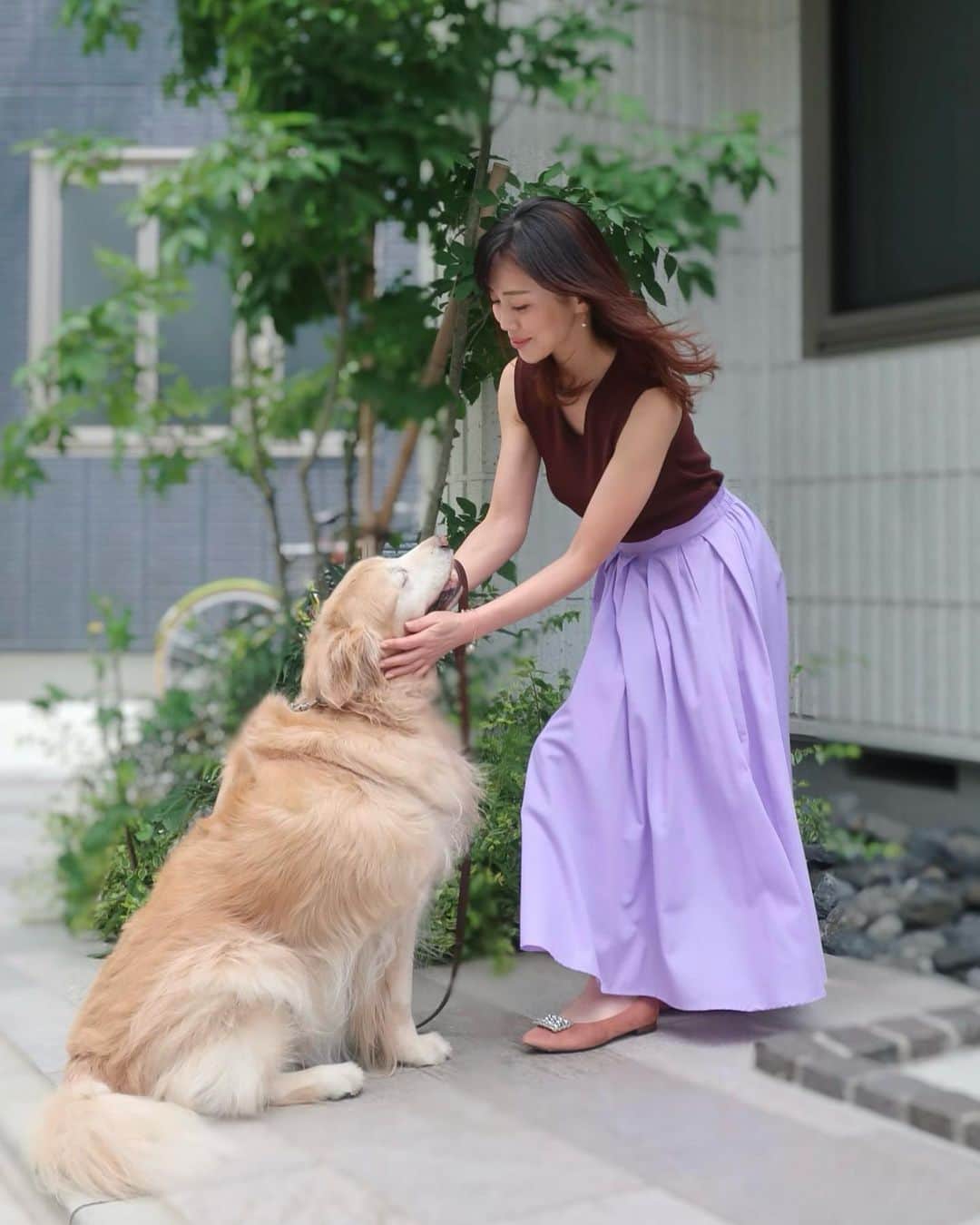 ImotoEtsuyo さんのインスタグラム写真 - (ImotoEtsuyo Instagram)「#おはようございます  ・ #愛犬 #ココア と。 穏やかな性格の女の子。 ・ 眩しかったのかな？ 何枚撮っても目が(^^) ・ ・ #ゴールデンレトリバー  #goldenretriever  #癒し  #smile  #dog  #love #dogstagram  #大型犬  #大型犬のいる生活  #大型犬のいる暮らし  #シニア犬  #11歳  #元気で長生きしてね」5月26日 6時51分 - bisuhada