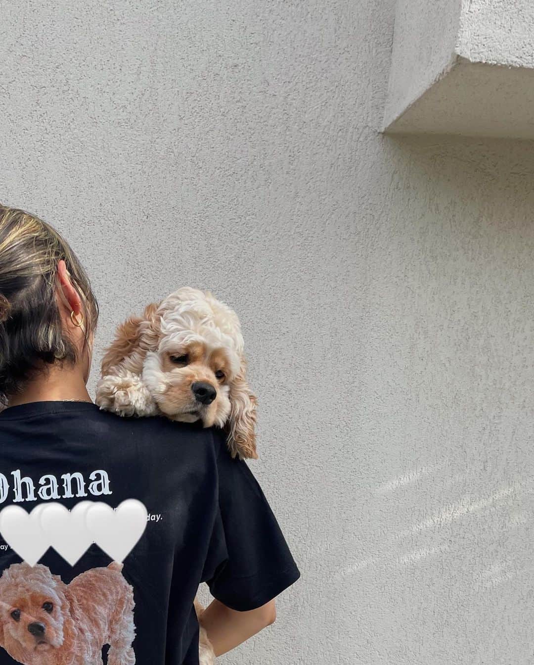 松本瞳さんのインスタグラム写真 - (松本瞳Instagram)「一歳🐶✨  #記念Tシャツ #アメリカンコッカースパニエル」5月26日 21時59分 - hitomi.mats