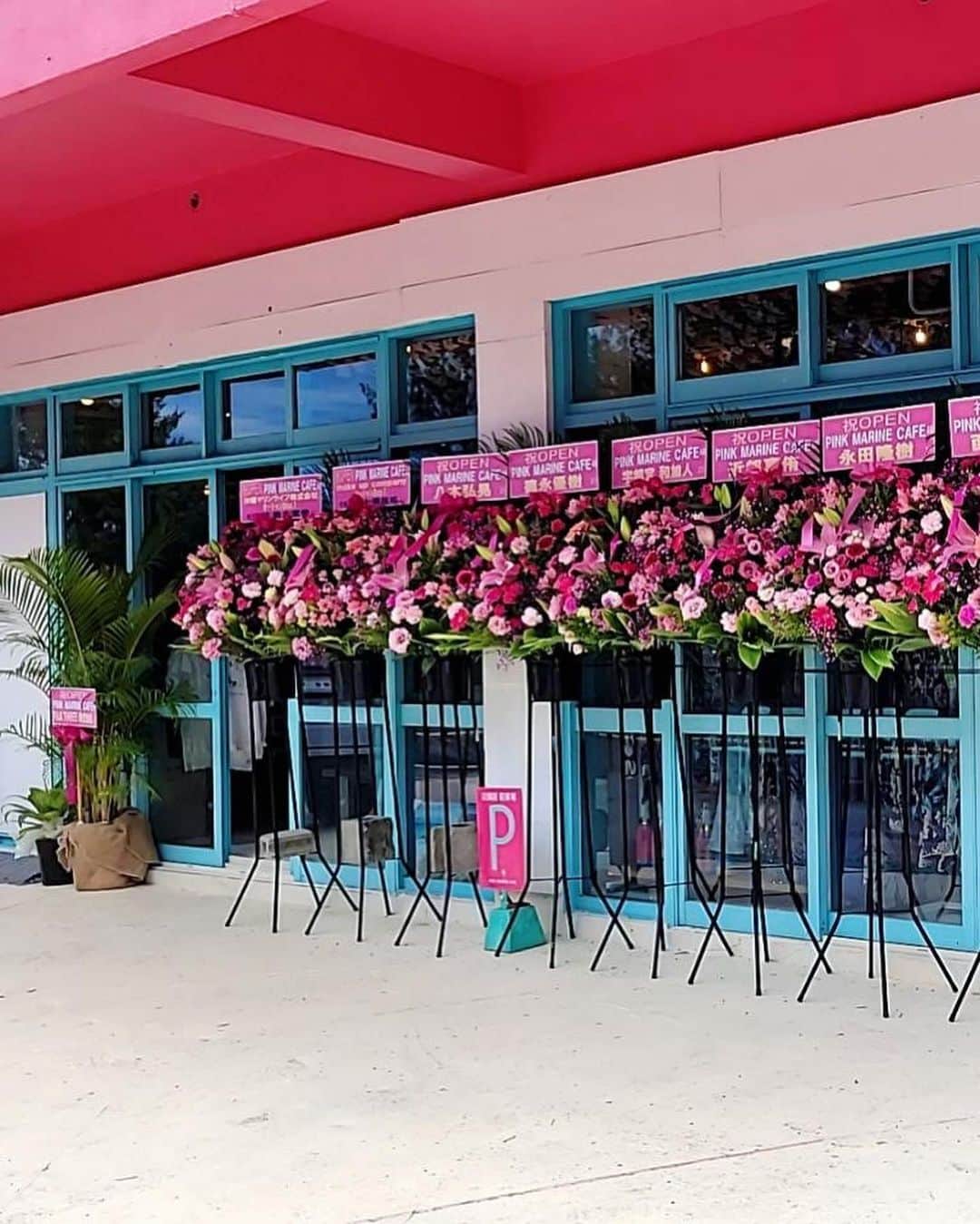 おりささんのインスタグラム写真 - (おりさInstagram)「・ 5月26日 @pinkmarinecafe  グランドオープンしました🥳  たくさんのお花とヤシの木が 届いて嬉しいです💓💓💓  Pink Marine Cafe  明日も10:00〜18:00まで営業してます🌴  おりさは夕方からお店にいます✨  ----------------------------------  🌴店舗情報🌴  PINK MARINE CAFE 恩納村店  📍〒904-0404  沖縄県国頭郡恩納村字瀬良垣1780-1  ☎️098-959-3132  ------------------------------------  クラウドファンディング目標の 200万円達成しました✨✨✨  支援してくれた皆さん ありがとうございました🥺✨  5月31日までクラファンは続くので 引き続き頑張ります🔥  ------------------------------------  ・ ・ ・ ・ ・ #pinkmarinecafe#tabijo_okinawa#okinawa#okinawatrip#okinawacafe#smoothie#onnason#onnasoncafe #おきなわ#瀬良垣#瀬良垣カフェ#恩納村#恩納村カフェ#沖縄#沖縄カフェ#映えカフェ#沖縄の海#沖縄グルメ#沖縄観光#沖縄旅行#沖縄移住#沖縄生活#沖縄映えスポット#沖縄スイーツ#スムージー#映えスポット#タビジョ#女子旅#リゾート#エプロン」5月27日 0時46分 - orisa_0510