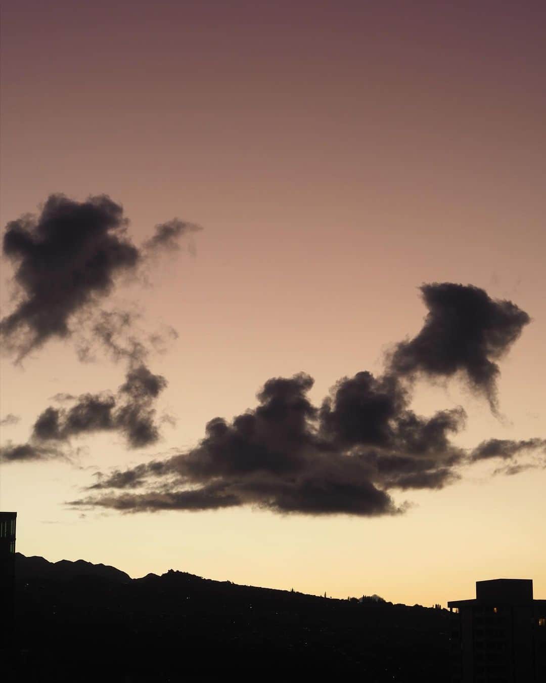 根岸由香里さんのインスタグラム写真 - (根岸由香里Instagram)「. 暁月🌙 the moon at daybreak」5月27日 3時24分 - yukarinegishi