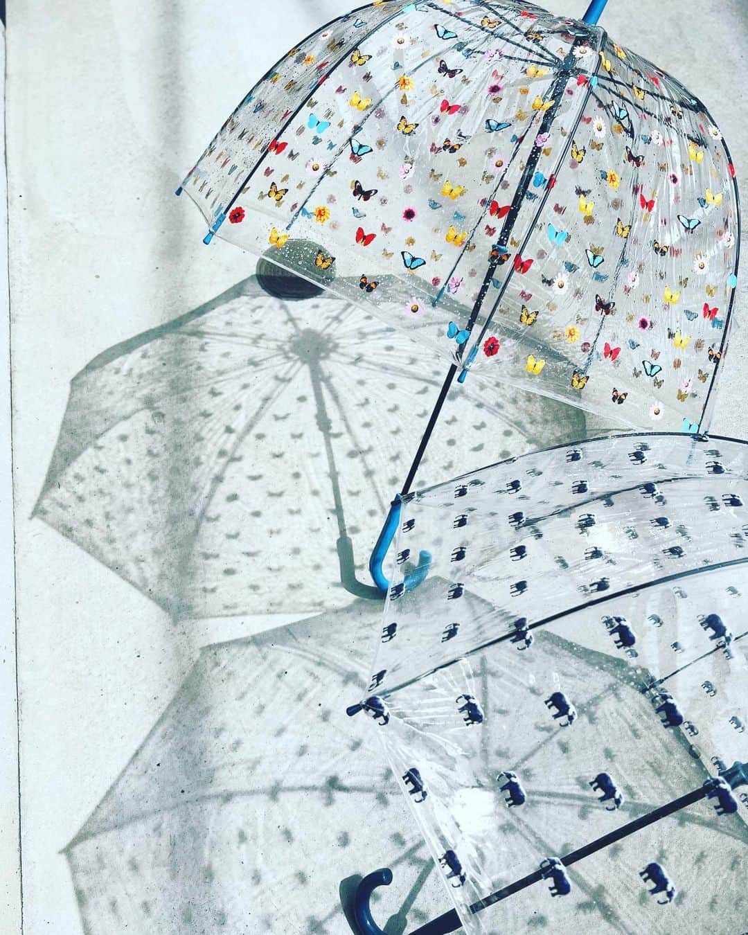 神崎恵さんのインスタグラム写真 - (神崎恵Instagram)「・ さっきまでの雨がうそのように晴れました☀️ 息子たちの使った傘も合わせて、 水滴を拭き取って、陰干です。 影。かわいい。🦋🐘🐘🐘」5月27日 15時27分 - megumi_kanzaki