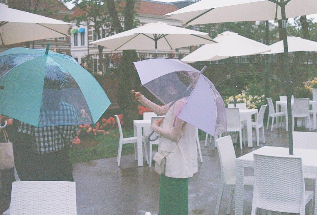 豊永阿紀さんのインスタグラム写真 - (豊永阿紀Instagram)「バラと傘の咲く広場🥀☔️  #1047camera #ハウステンボス最高かよプロジェクト #ハウステンボス #huistenbosch」5月27日 20時38分 - aki_t_official