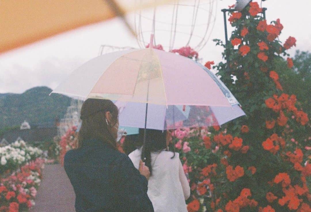 豊永阿紀さんのインスタグラム写真 - (豊永阿紀Instagram)「バラと傘の咲く広場🥀☔️  #1047camera #ハウステンボス最高かよプロジェクト #ハウステンボス #huistenbosch」5月27日 20時38分 - aki_t_official