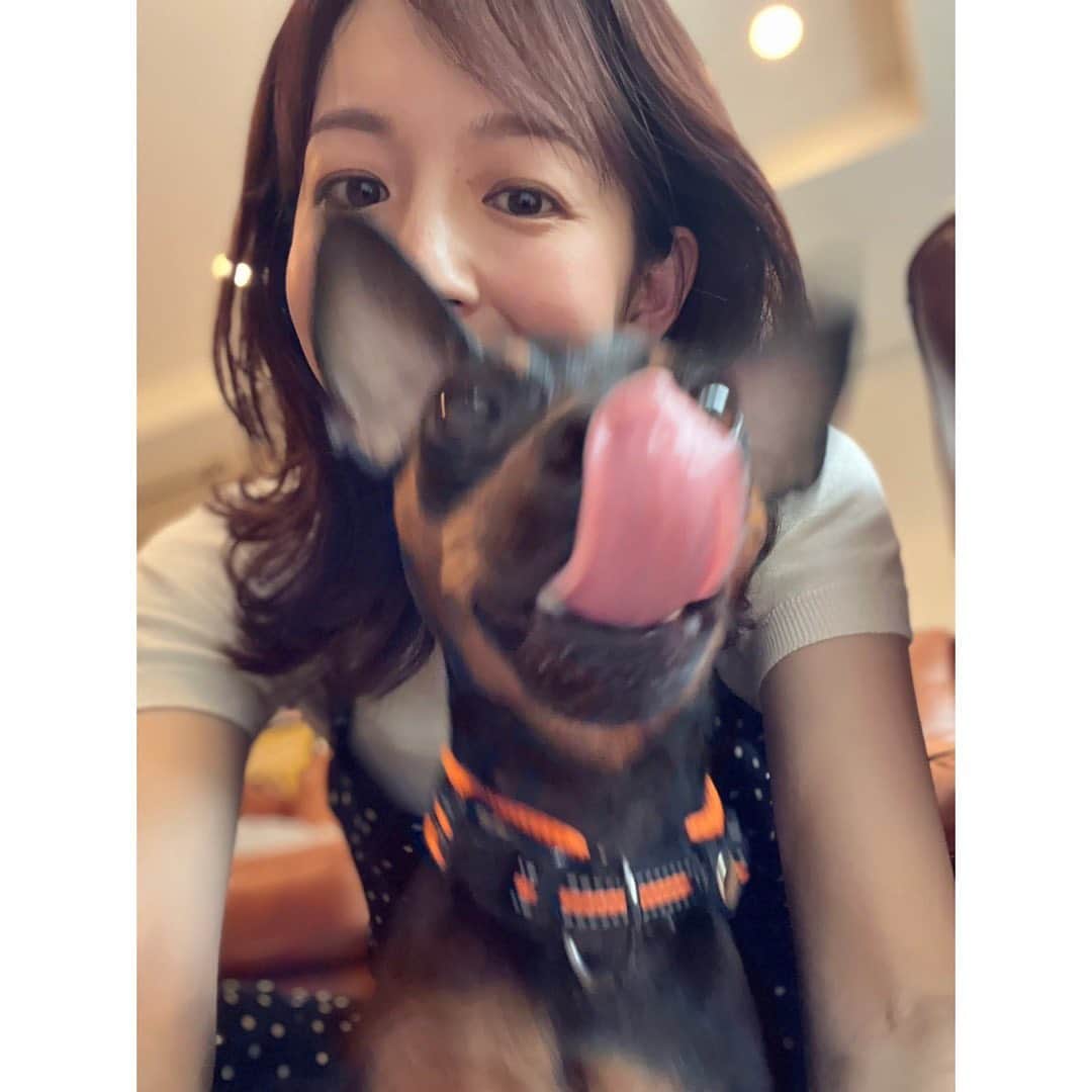 伊藤弘美さんのインスタグラム写真 - (伊藤弘美Instagram)「☺︎ ⁡ 髪を切りました〜✂︎ 5.6センチかな？すっきりしました✨ ⁡ 後ろにアンパンマン号が…☺️ ⁡ ラスティも参加してくれました🐶ペロリ笑 ⁡ ⁡ ⁡ #ヘアカット　#ミディアムヘア　#アンパンマン号  #ミニチュアピンシャー　#ラスティ　#男の子ママ」5月28日 17時52分 - hiromi_ito831