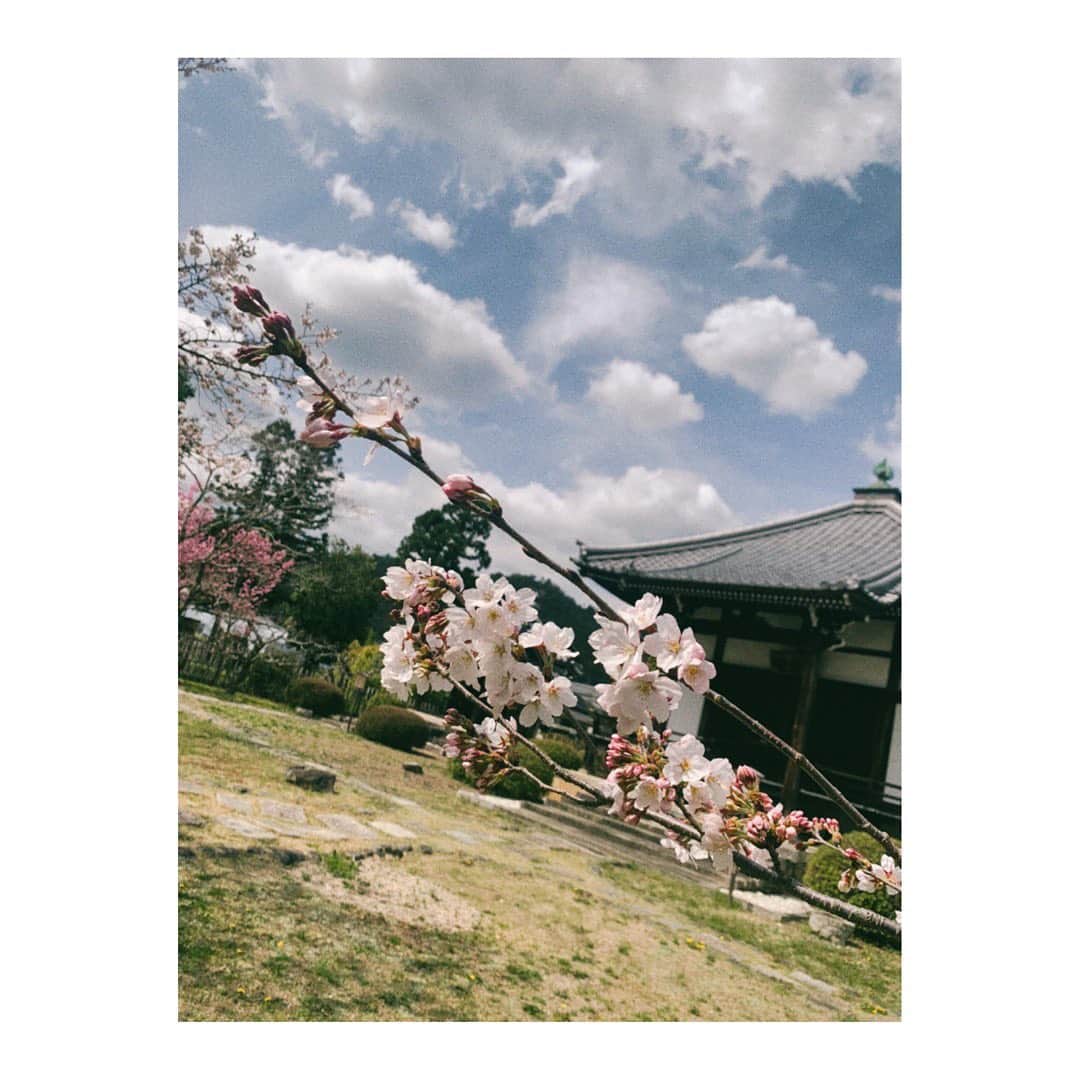 吉岡里帆さんのインスタグラム写真 - (吉岡里帆Instagram)「"京都人の密かな愉しみ"  遂に長い修行の季節が終わります。 5人で紡いできた京都での時間は 文化の継承と、未来への開拓、 この二つを主軸にそれはそれは貴重なひと時でした。 青かった新芽はすくすくと育ち、 仲間や師匠との絆も深まり"このまま"が ずっと続けば良いのに…な居心地の良さでした。  寂しいけどまた大きく成長して会えるように。 皆んなと過ごせて本間に良かった。 京都がまた好きになりました。  今日19時半〜放送です。  #ドラマ #京都人の密かな愉しみ」5月28日 18時35分 - riho_yoshioka