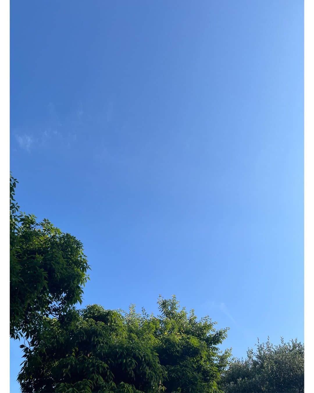 木村心美さんのインスタグラム写真 - (木村心美Instagram)「空が「夏」してる。 ・ 妹がボロネーゼパスタをマスターしてました」5月28日 21時09分 - cocomi_553_official