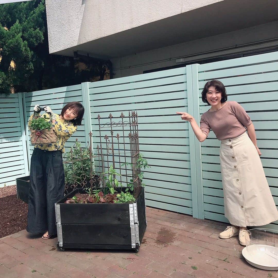 山口もえさんのインスタグラム写真 - (山口もえInstagram)「・  やさいの時間📺に登場します♡ アンコール放送なのですが 久々登場でタカさんにお逢いできて嬉しいです🥰 今回育てるオクラは採れたてを味わってもらいたいです！！ サクッとシャキとパリッと音がします。笑 採れたてのオクラを食べてる音はリールに載ってるよ♡  P.S  小タマネギはずいぶんと落ち着いてきました。 情報ありがとうございました。 オーガニックの薬をシュッとしました😊  NHK-E「趣味の園芸 やさいの時間」 もえのプランター菜園 アンコール放送  5月29日(日) Eテレ午前8:00〜午前8:25 5月31日(火) Eテレ午後13:05〜午後13:30  #やさいの時間#プランター菜園 #家庭菜園#オクラ#TV #深町貴子 さんと💕 #お楽しみに♡」5月28日 21時22分 - moe_yamaguchi0611