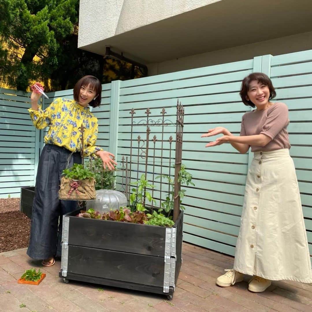山口もえさんのインスタグラム写真 - (山口もえInstagram)「・  やさいの時間📺に登場します♡ アンコール放送なのですが 久々登場でタカさんにお逢いできて嬉しいです🥰 今回育てるオクラは採れたてを味わってもらいたいです！！ サクッとシャキとパリッと音がします。笑 採れたてのオクラを食べてる音はリールに載ってるよ♡  P.S  小タマネギはずいぶんと落ち着いてきました。 情報ありがとうございました。 オーガニックの薬をシュッとしました😊  NHK-E「趣味の園芸 やさいの時間」 もえのプランター菜園 アンコール放送  5月29日(日) Eテレ午前8:00〜午前8:25 5月31日(火) Eテレ午後13:05〜午後13:30  #やさいの時間#プランター菜園 #家庭菜園#オクラ#TV #深町貴子 さんと💕 #お楽しみに♡」5月28日 21時22分 - moe_yamaguchi0611