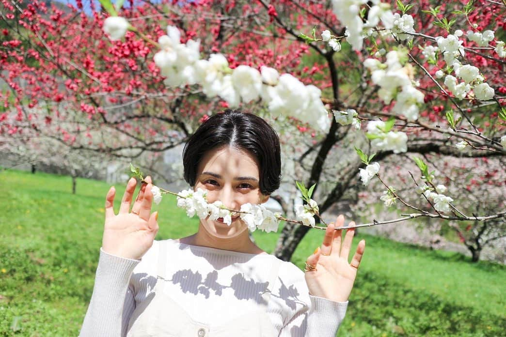 ホラン千秋さんのインスタグラム写真 - (ホラン千秋Instagram)「_ 花桃🌸」5月28日 21時39分 - chiakihoran_official