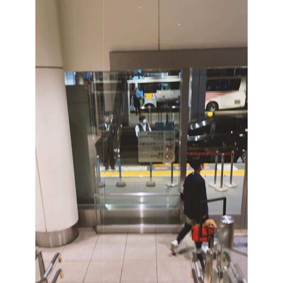 紗栄子さんのインスタグラム写真 - (紗栄子Instagram)「おかえり🥰🥰🥰💖💖💖💖」5月29日 0時12分 - saekoofficial