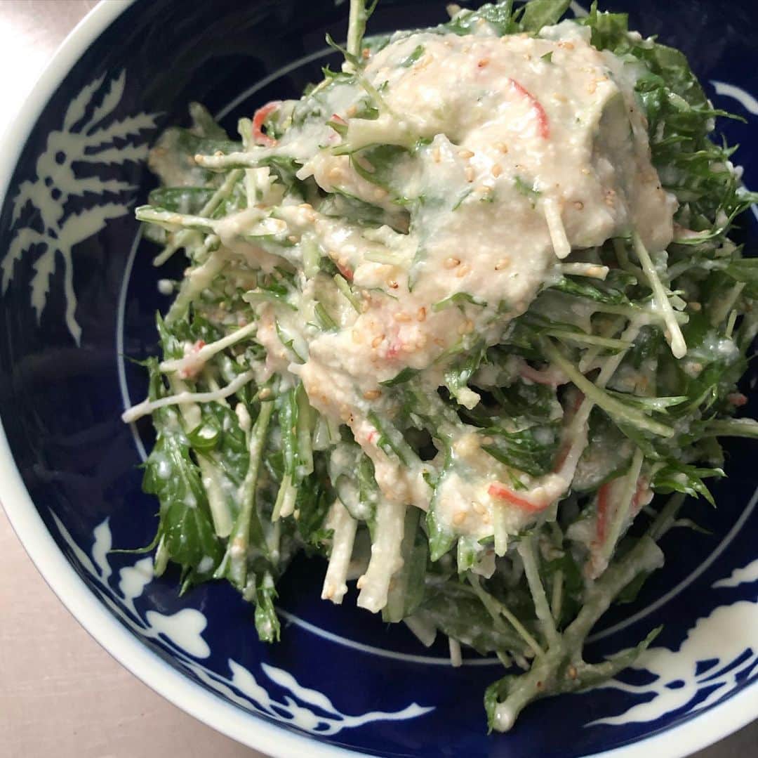 梅津弥英子さんのインスタグラム写真 - (梅津弥英子Instagram)「💚🤎 定期的にサラダを大皿いっぱい食べたい衝動に駆られます。昨日はカリッと皮目を焼いたチキンをのせたコブサラダが食べたかったのですが、仕事のためサササッと水菜とカニカマを豆腐（＋白だし・ゴマ・生姜・砂糖もチラリ）と和えたサラダを作りました。家族の反応はイマイチで、一人でバリバリ食べました。美味しかったです。年々自画自賛が得意になっています。 ちなみに、肉も魚も甘いのもお酒も、飲み食いの守備範囲は限りなく広い私ですが、たった一つ心がけていることは“食べる順番”です。野菜→肉魚→ごはんの順番を意識するだけで、食後の血糖値が上がりにくいと、とくダネ！の取材で聞いて以来続けています。 #水菜サラダ #楽ちんごはん #食べる順番 #ビールは毎回はさまる #いい加減 #皆さんの健康の秘訣教えてください #ライアンはカメラが嫌い #目線もらえず #断念」5月29日 13時31分 - yaeko.umezu