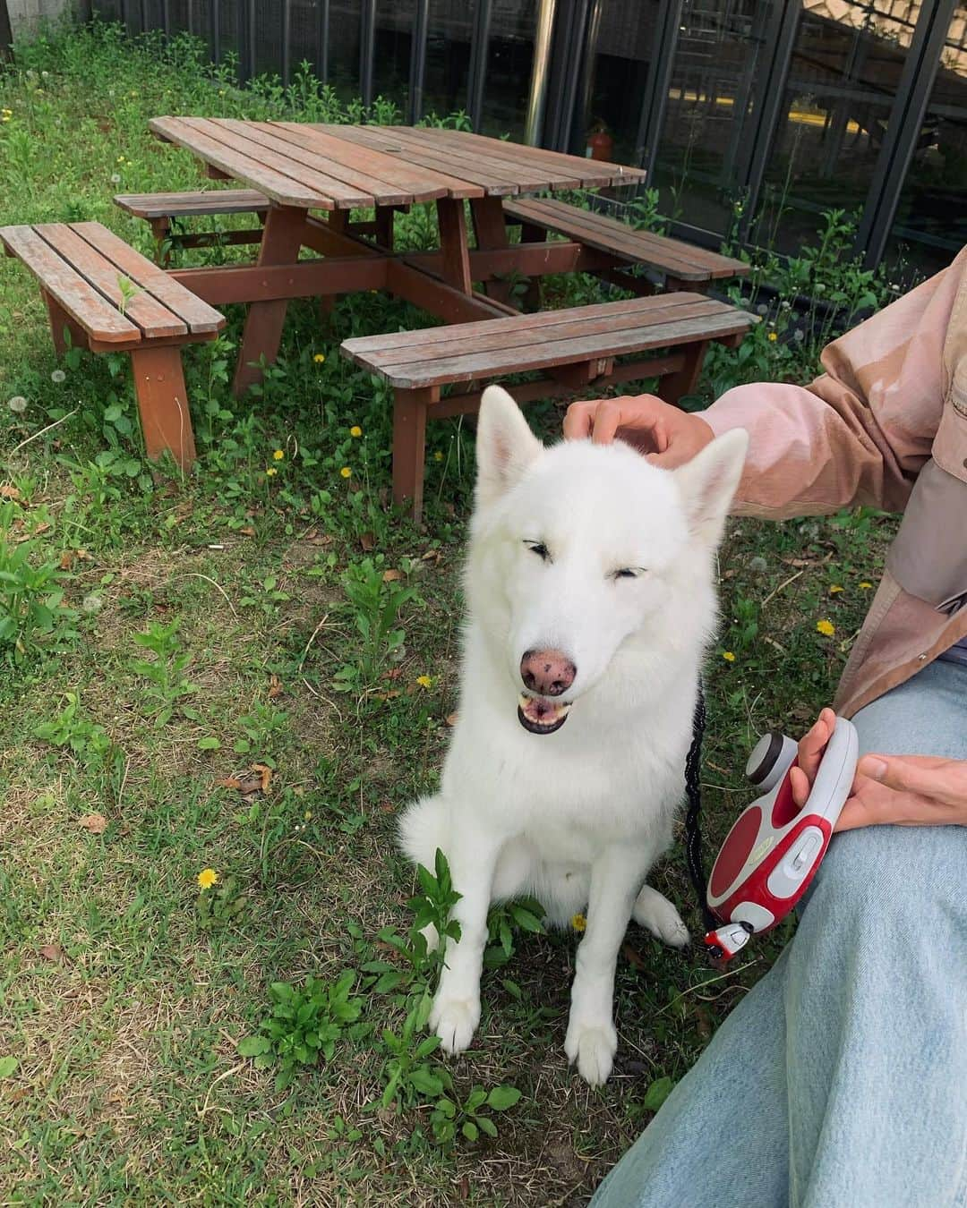 ホン・ジョンヒョンさんのインスタグラム写真 - (ホン・ジョンヒョンInstagram)「내새꾸」5月29日 18時28分 - hjonghyun